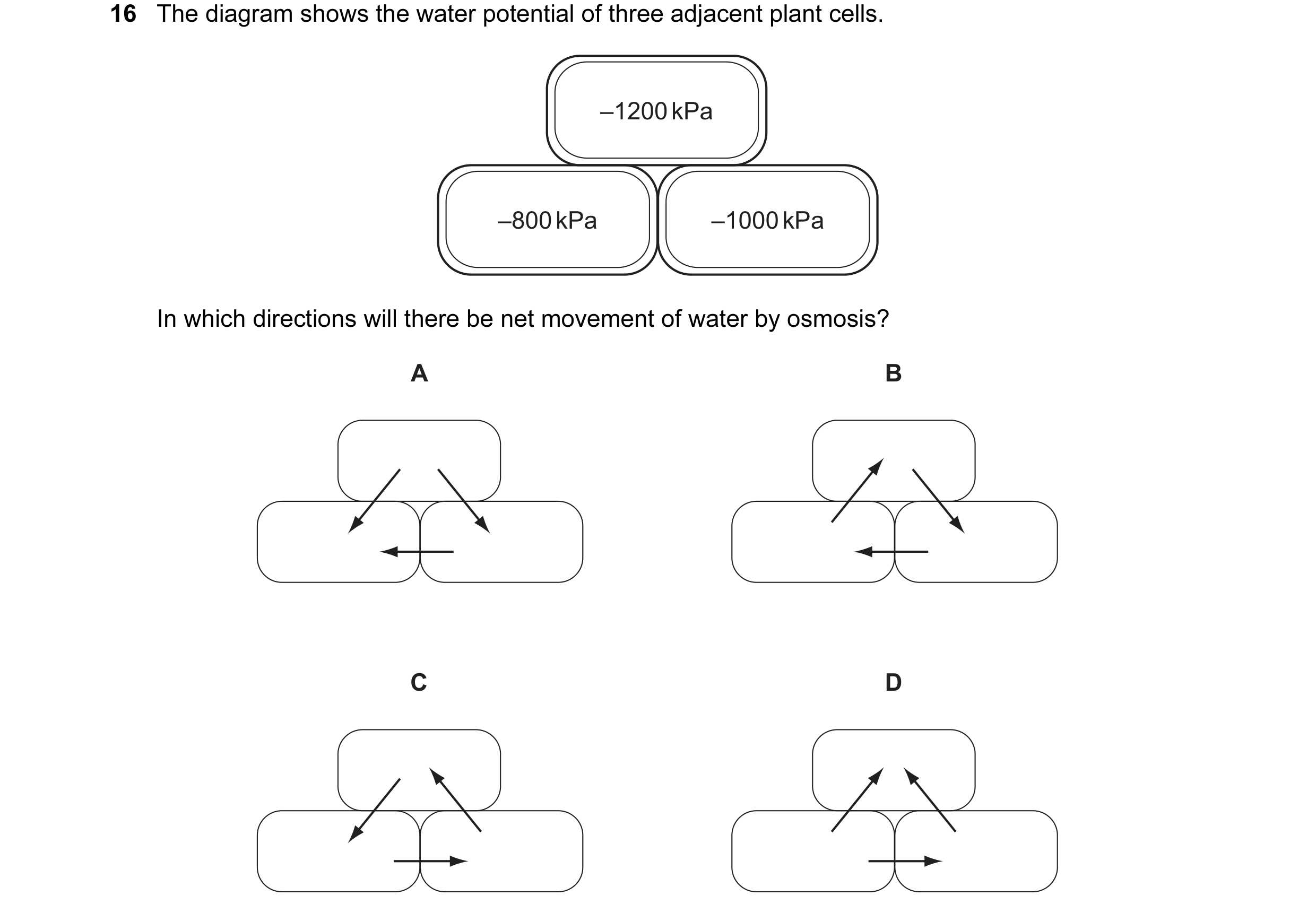 Question 48: The diagram shows the water potential of three adjacent plant cells. –1200 kPa –800 kPa –1000 kPa In which directions will there be net mov…