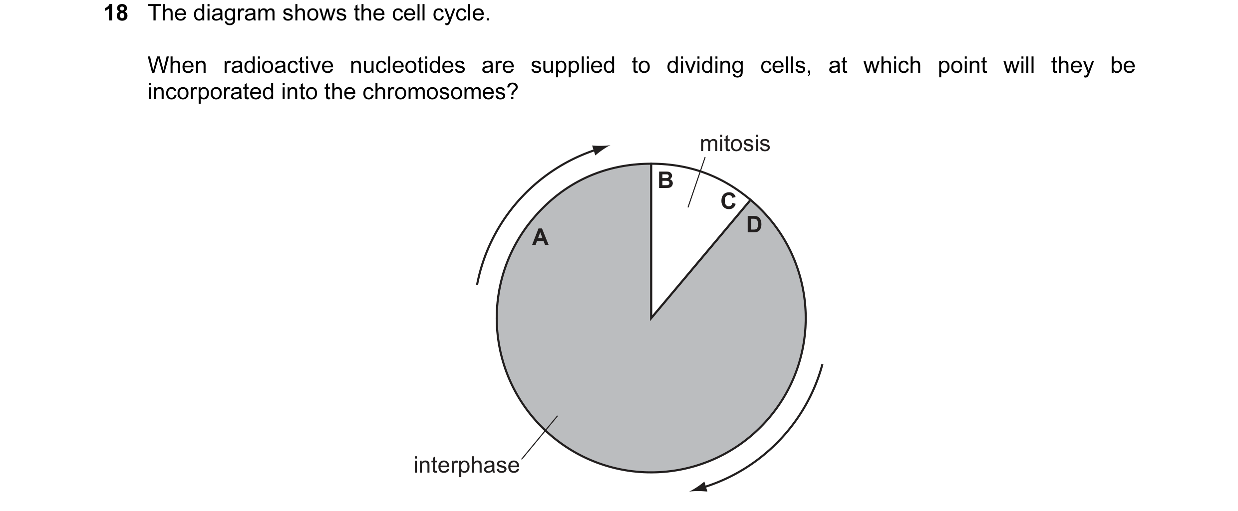 Question 39: The diagram shows the cell cycle. When radioactive nucleotides are supplied to dividing cells, at which point will they be incorporated int…