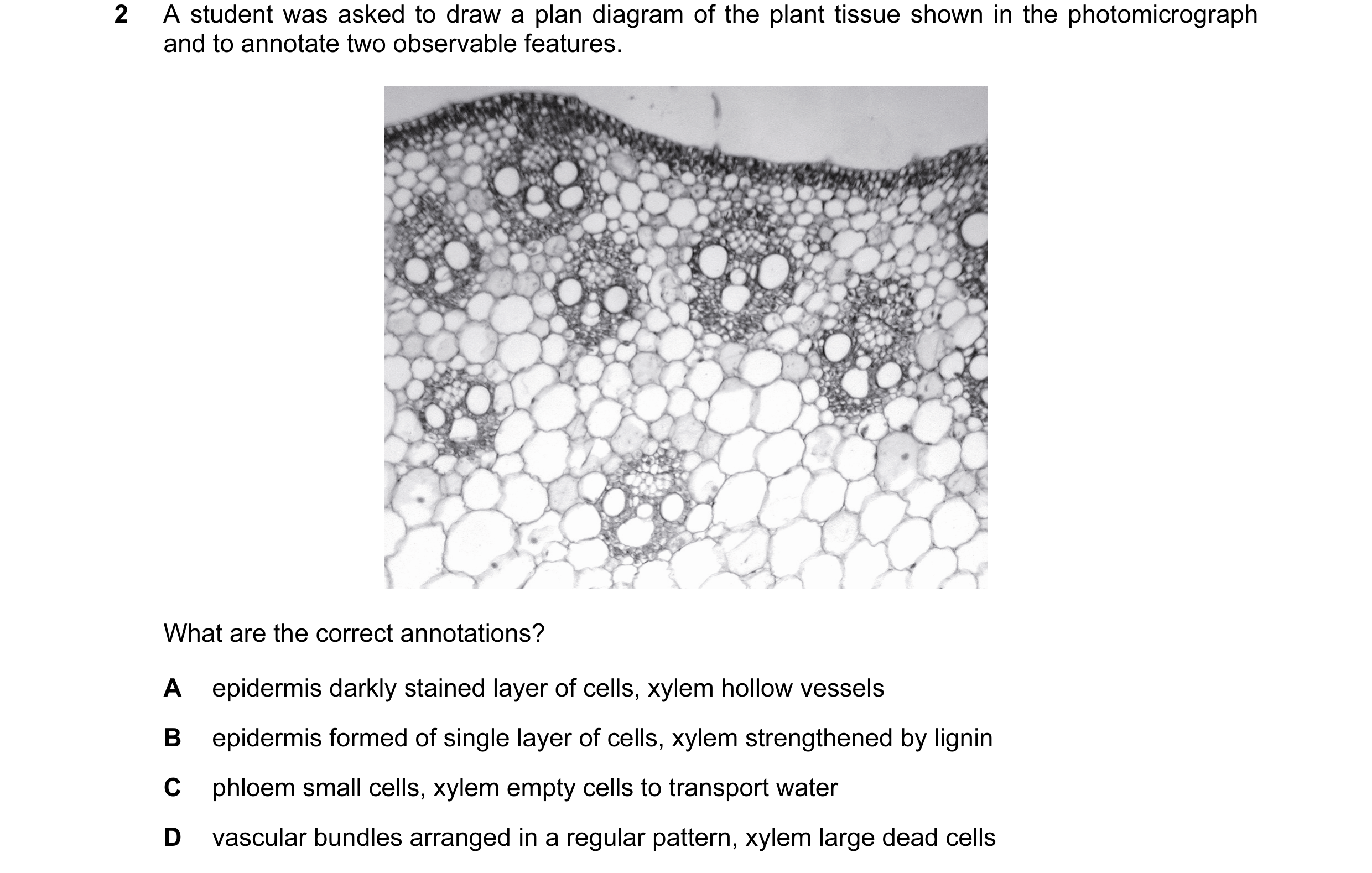 Question 18: A student was asked to draw a plan diagram of the plant tissue shown in the photomicrograph and to annotate two observable features. What a…