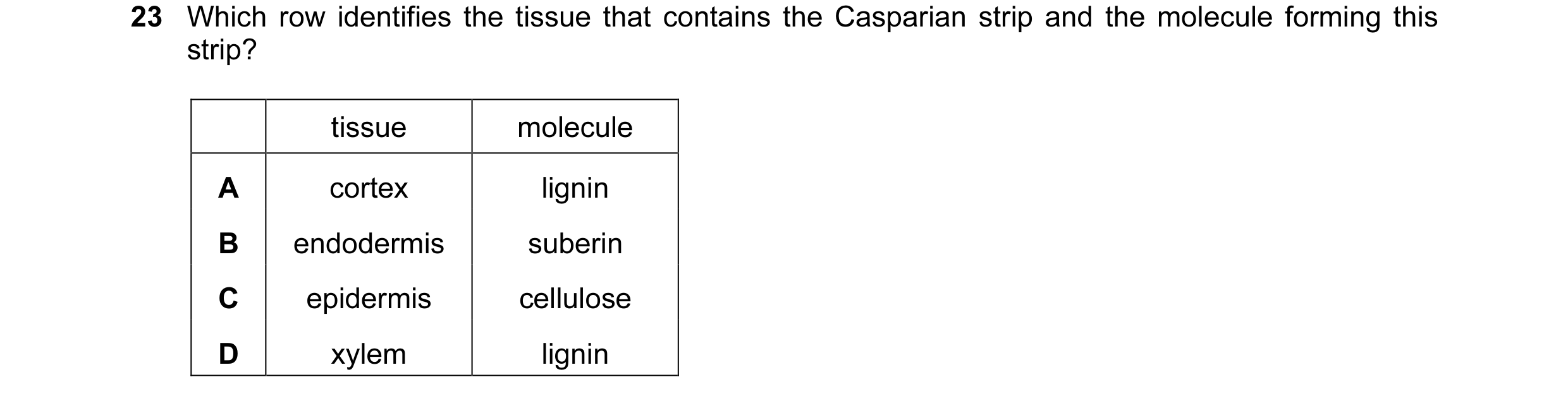 Question 49: Which row identifies the tissue that contains the Casparian strip and the molecule forming this strip? tissue molecule A cortex lignin B en…