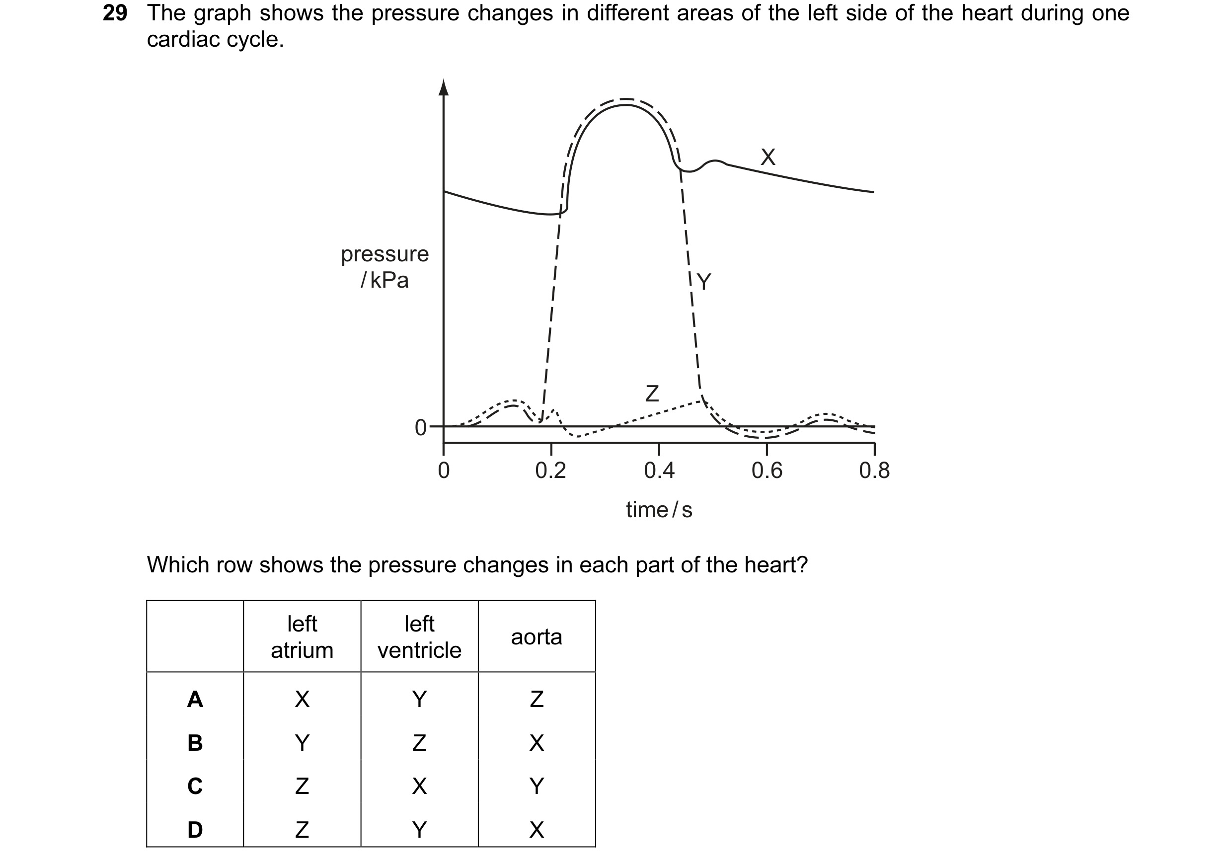 Question 26: The graph shows the pressure changes in different areas of the left side of the heart during one cardiac cycle. X pressure / kPa Y Z 0 0 0.…