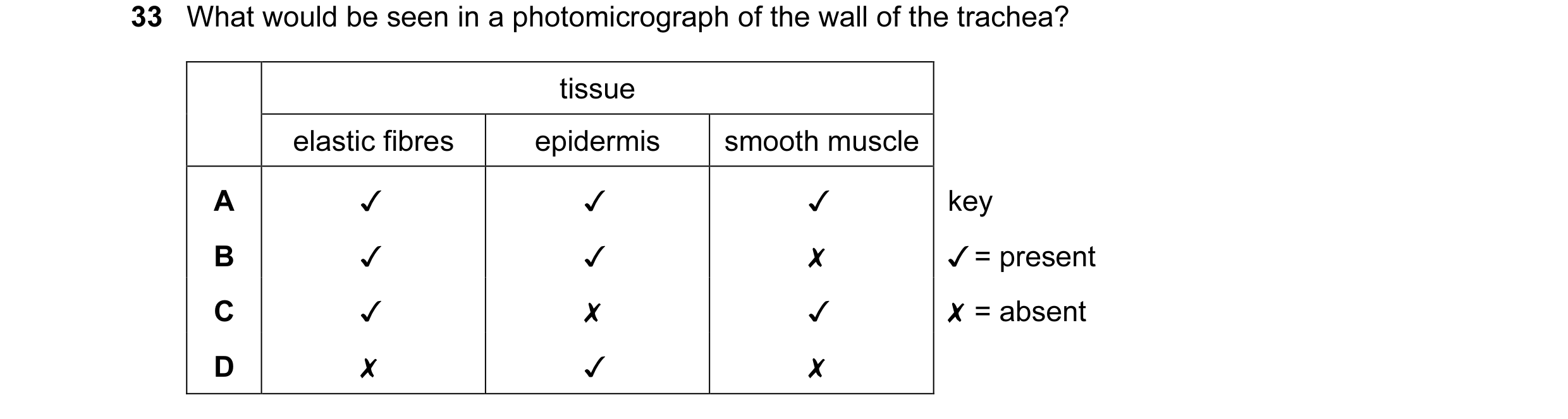 Question 51: What would be seen in a photomicrograph of the wall of the trachea?

tissue
elastic fibres epidermis smooth muscle
A v v v
B v v x
Cc v x v…