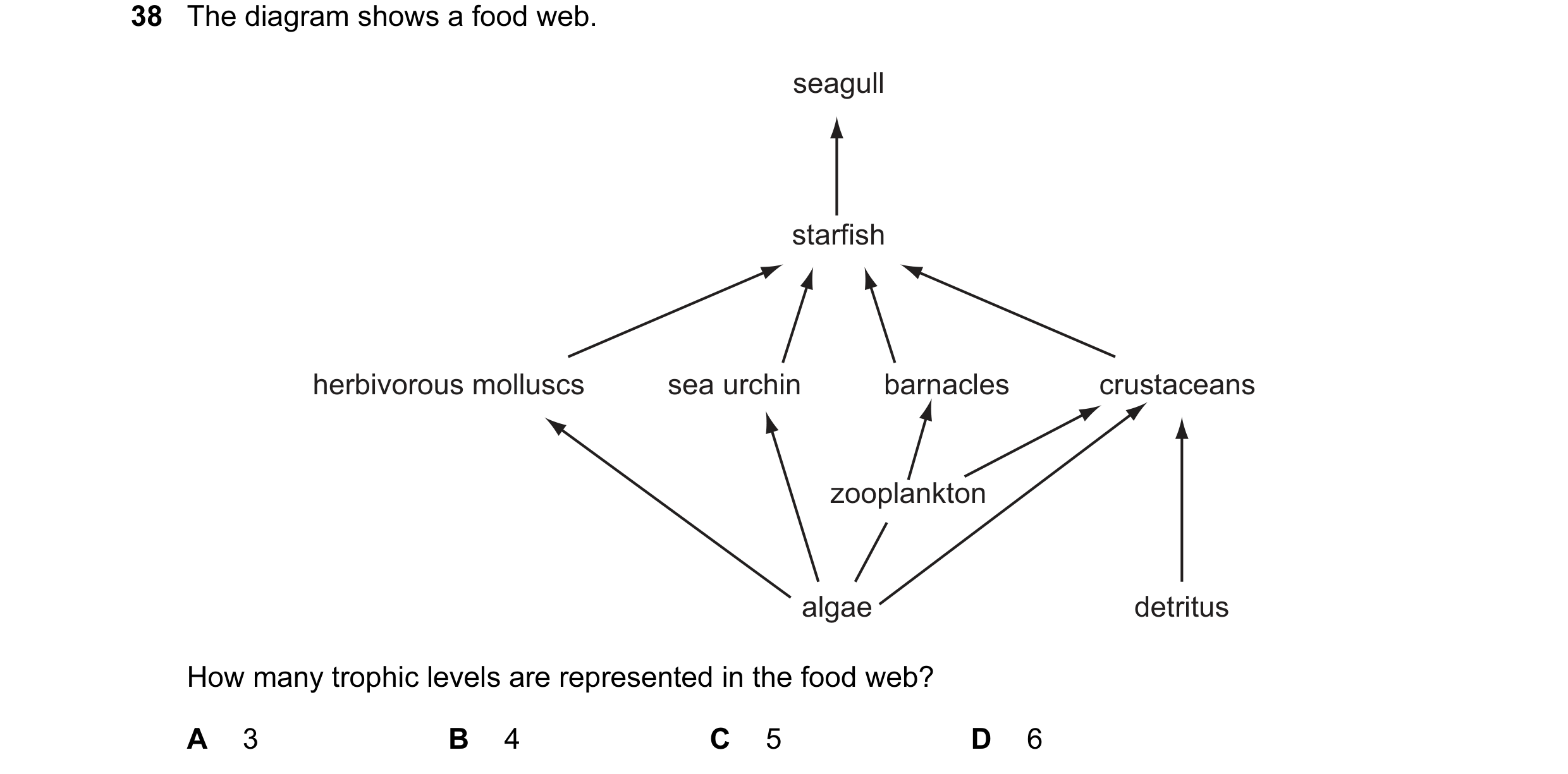 Question 34: The diagram shows a food web. seagull starfish herbivorous molluscs sea urchin barnacles crustaceans zooplankton algae detritus How many tr…