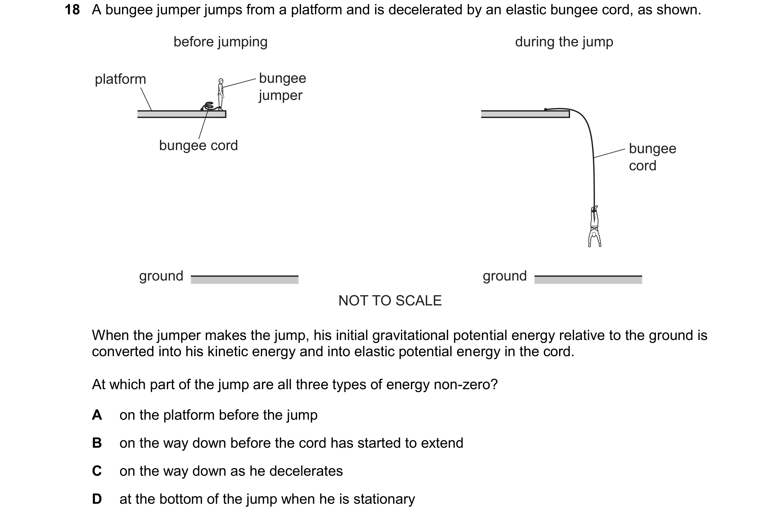 Question 175: A bungee jumper jumps from a platform and is decelerated by an elastic bungee cord, as shown. before jumping during the jump platform bunge…
