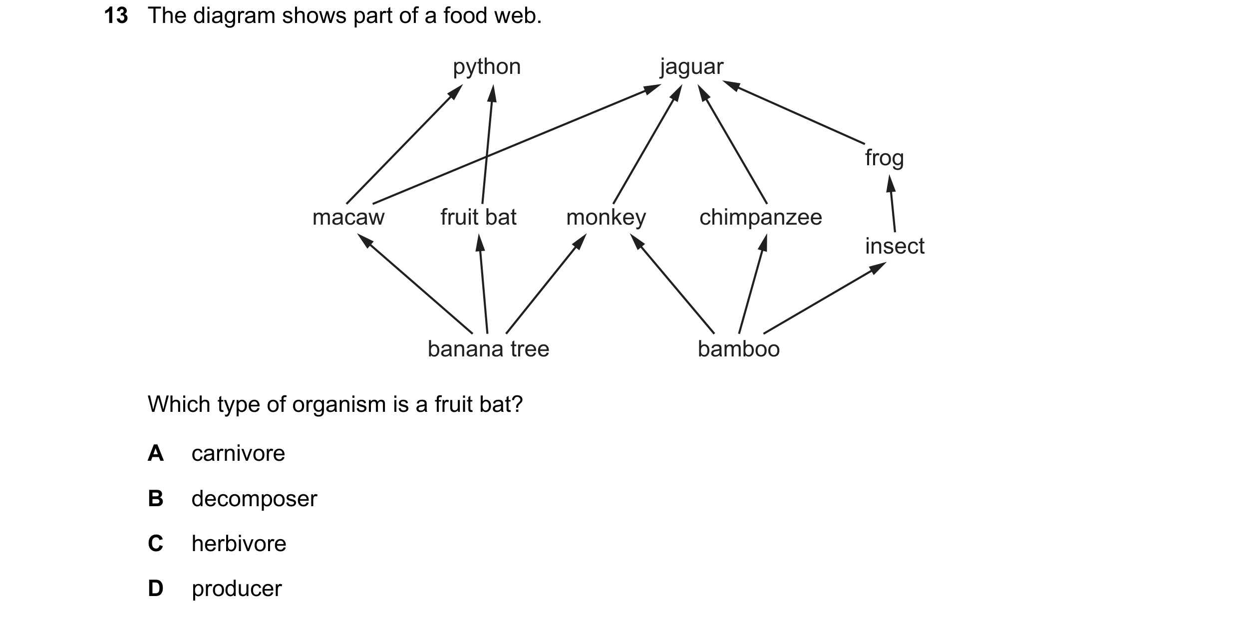 Question 48: The diagram shows part of a food web. python jaguar frog macaw fruit bat monkey chimpanzee insect banana tree bamboo Which type of organism…