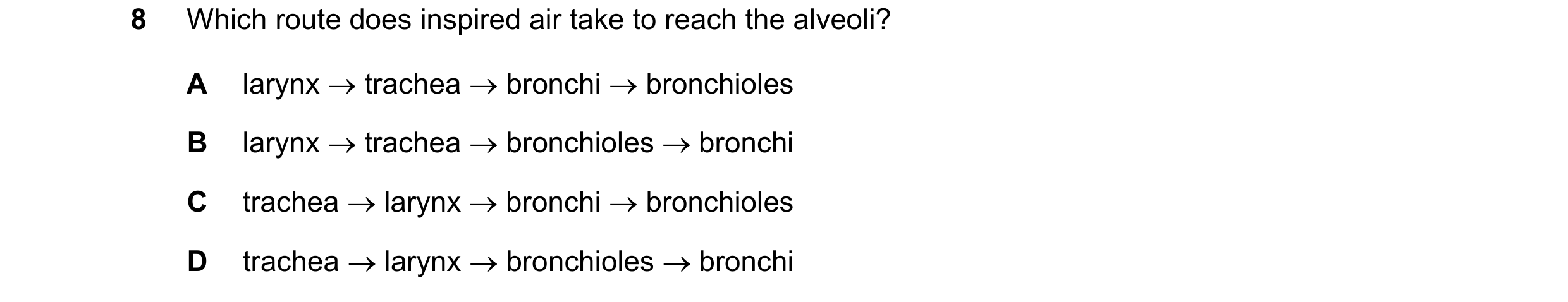 Question 65: Which route does inspired air take to reach the alveoli? A larynx trachea bronchi bronchioles B larynx trachea bronchioles bron…