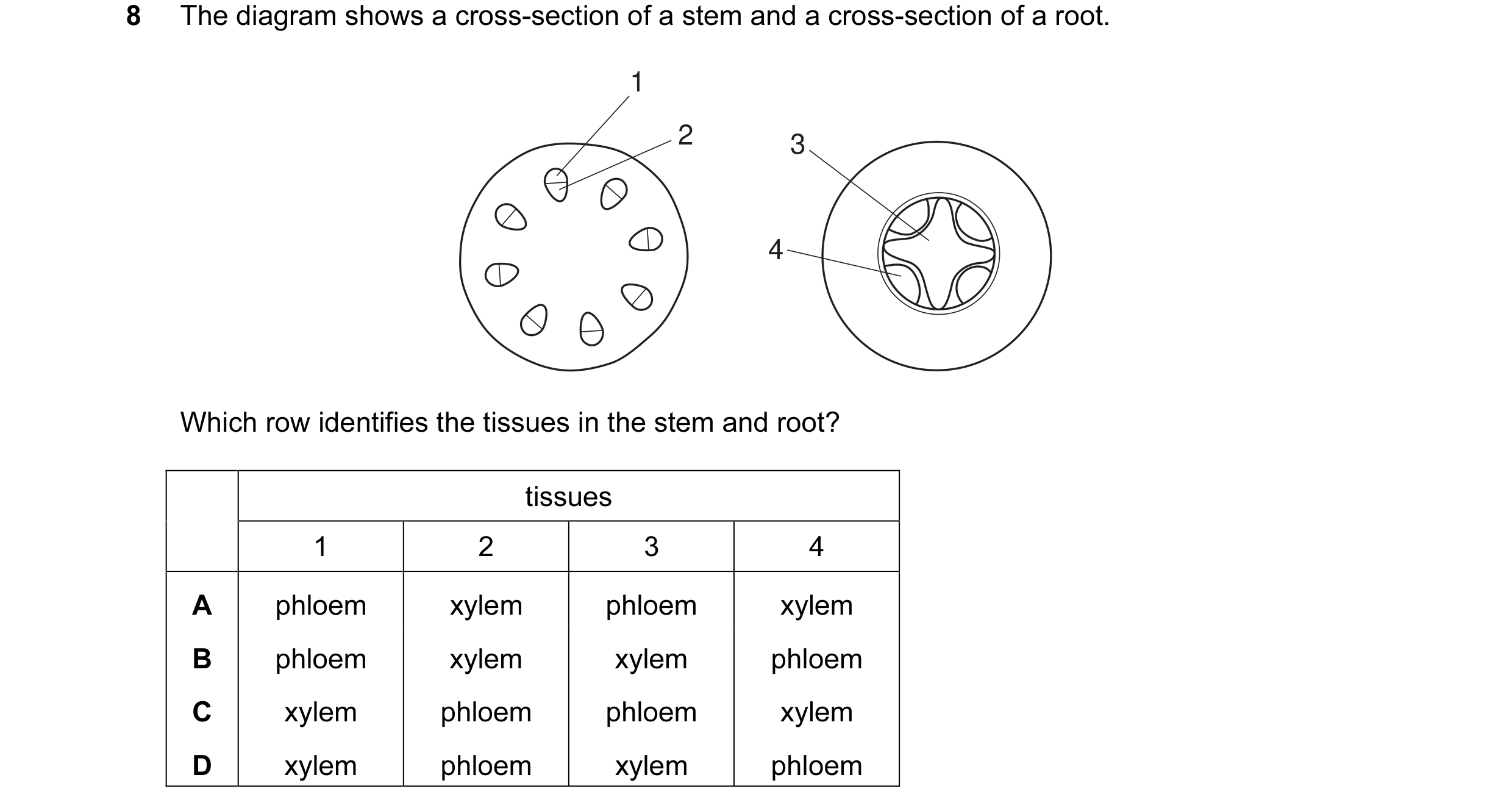 Question 3: The diagram shows a cross-section of a stem and a cross-section of a root. 1 2 3 4 Which row identifies the tissues in the stem and root? t…