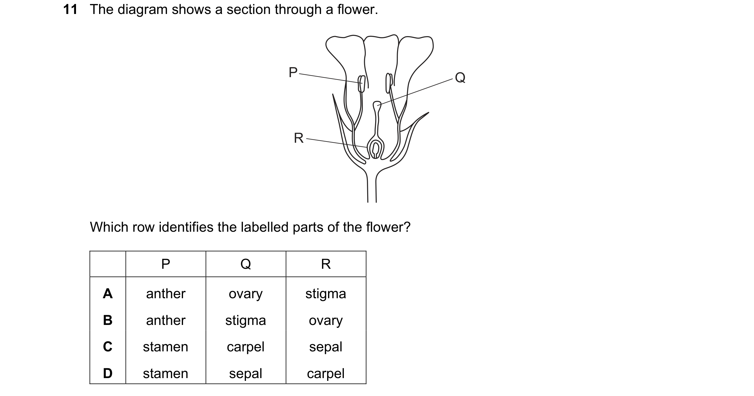 Question 102: The diagram shows a section through a flower. P Q R Which row identifies the labelled parts of the flower? P Q R A anther ovary stigma B an…