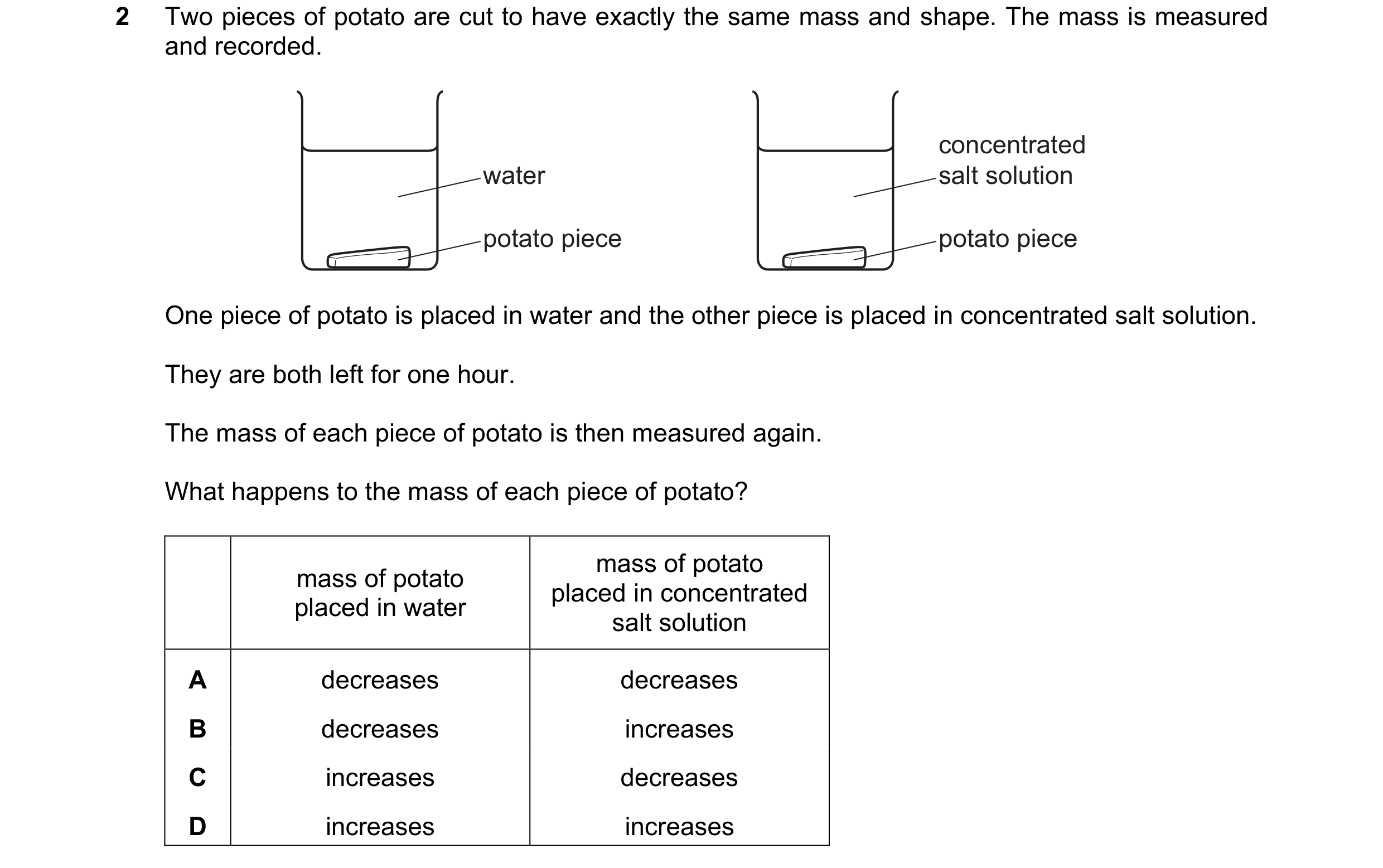Question 11: Two pieces of potato are cut to have exactly the same mass and shape. The mass is measured and recorded. concentrated water salt solution p…
