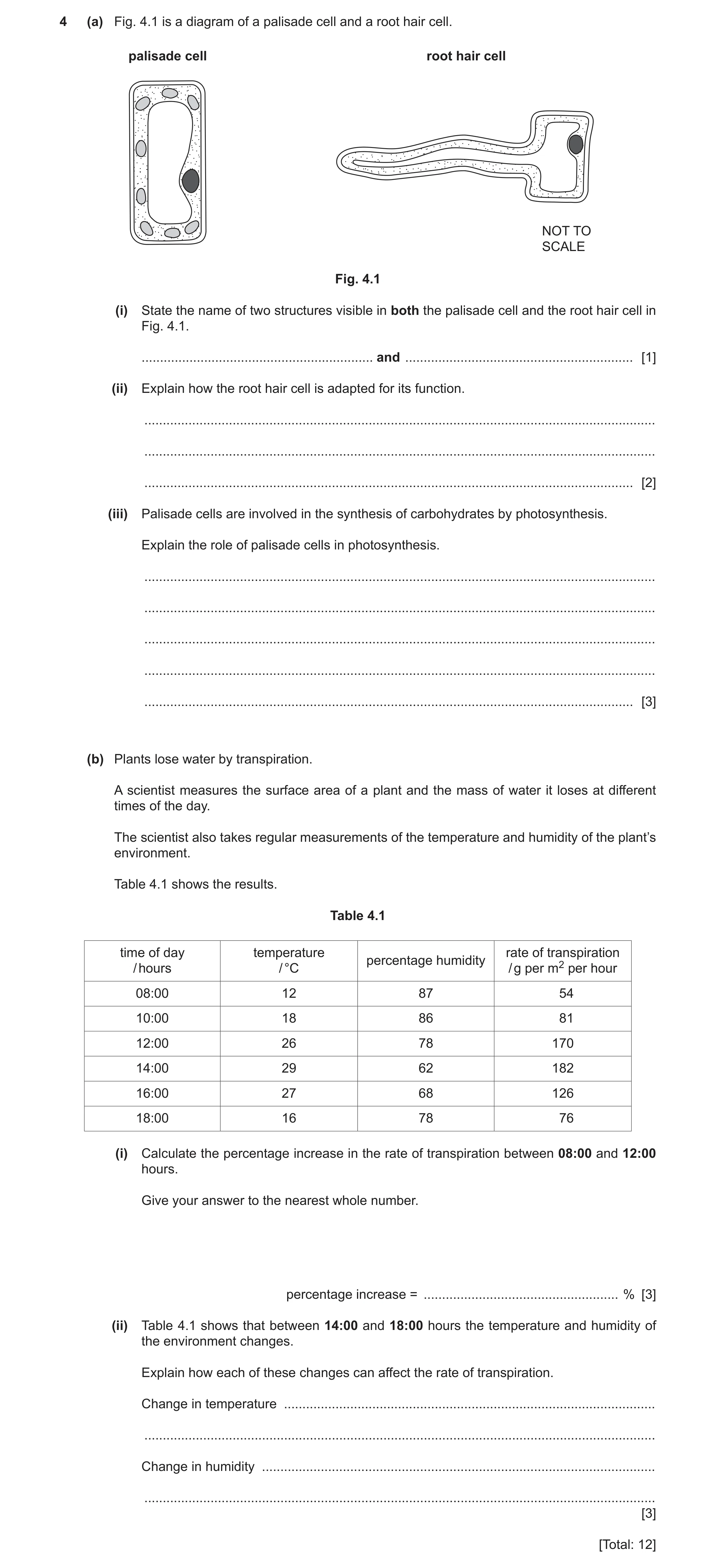 Question 9: (a) Fig. 4.1 is a diagram of a palisade cell and a root hair cell. palisade cell root hair cell NOT TO SCALE Fig. 4.1 (i) State the name of…