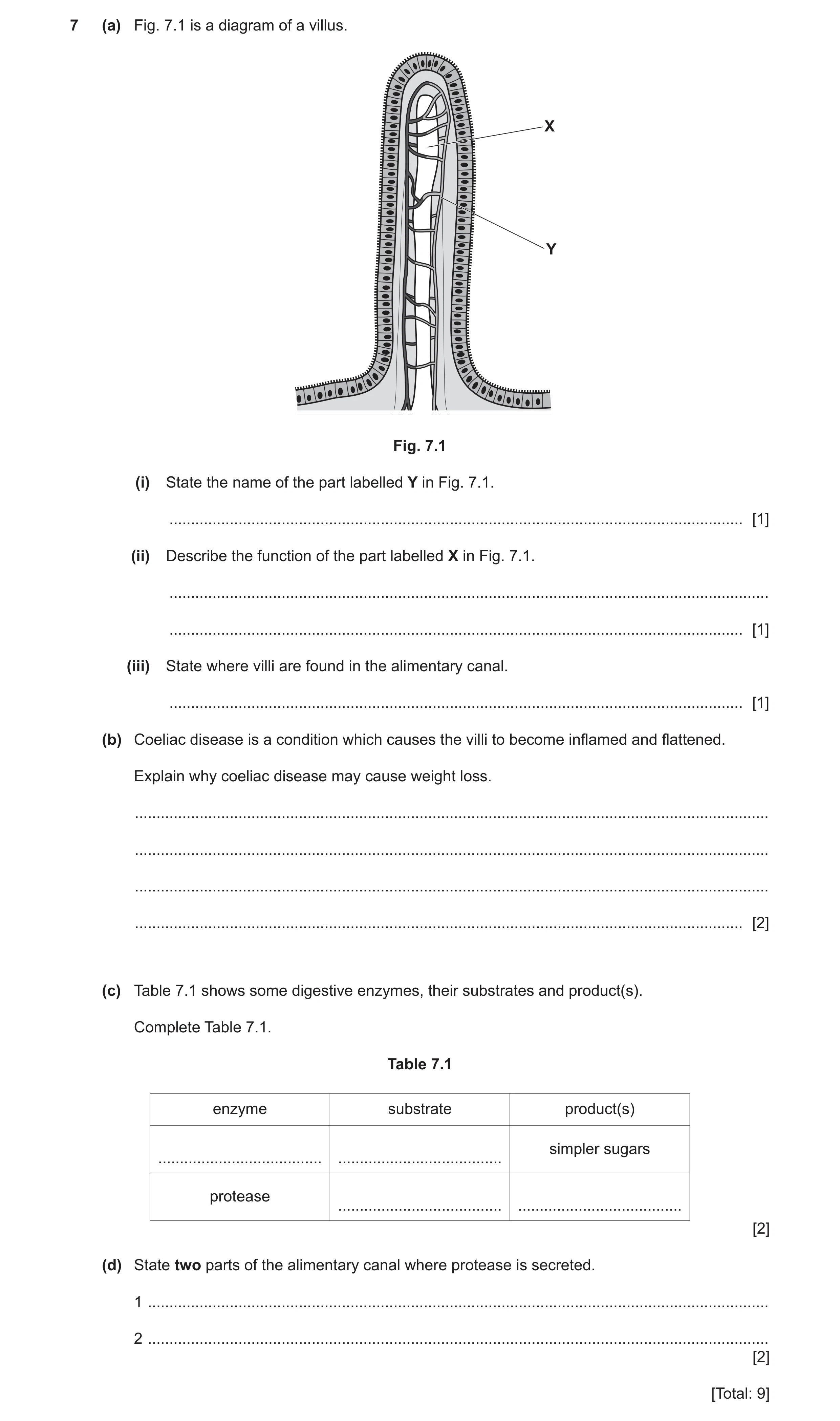 Question 9: (a) Fig. 7.1 is a diagram of a villus. X Y Fig. 7.1 (i) State the name of the part labelled Y in Fig. 7.1. ................................…