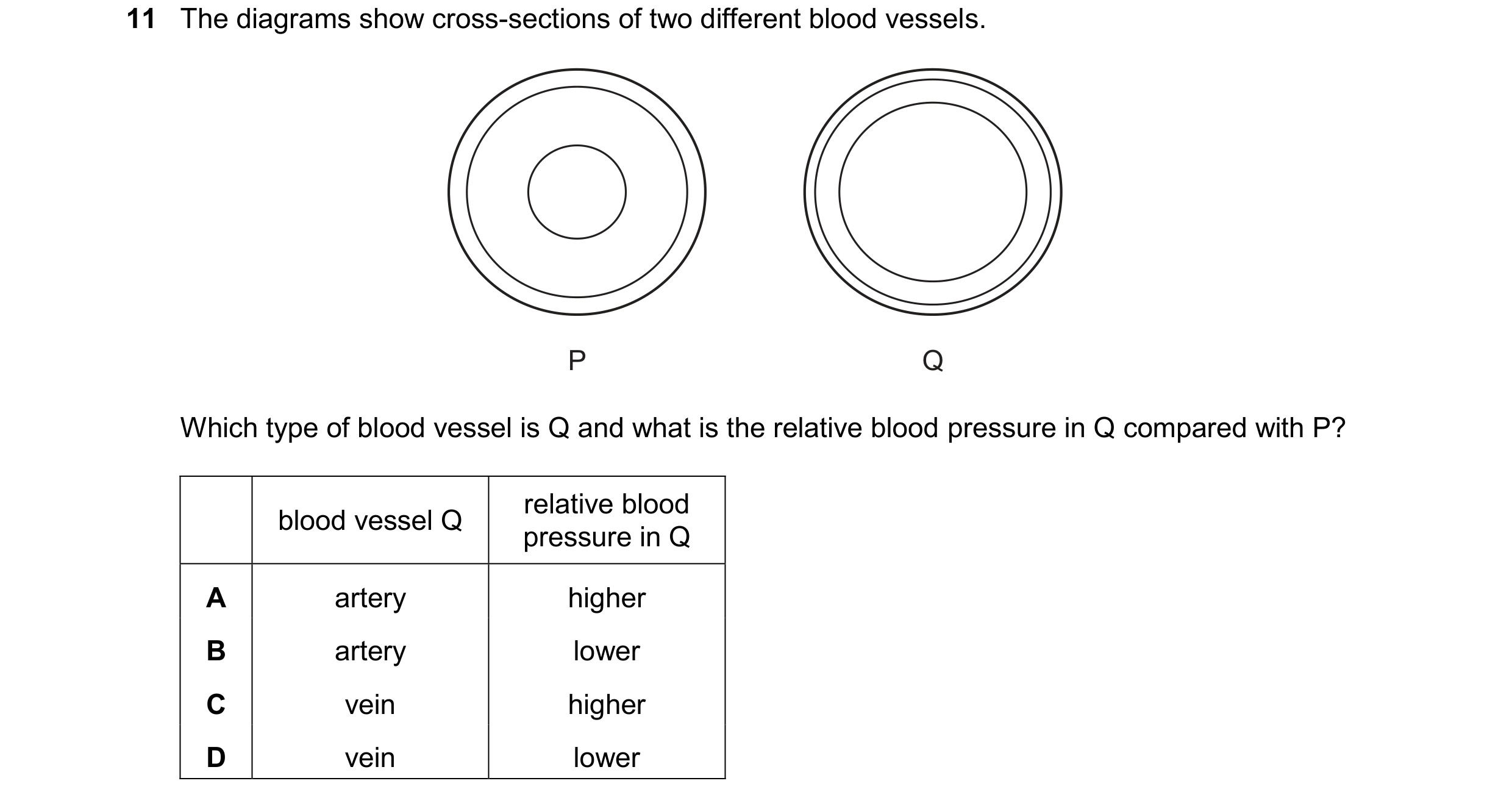 Question 8: The diagrams show cross-sections of two different blood vessels. P Q Which type of blood vessel is Q and what is the relative blood pressur…