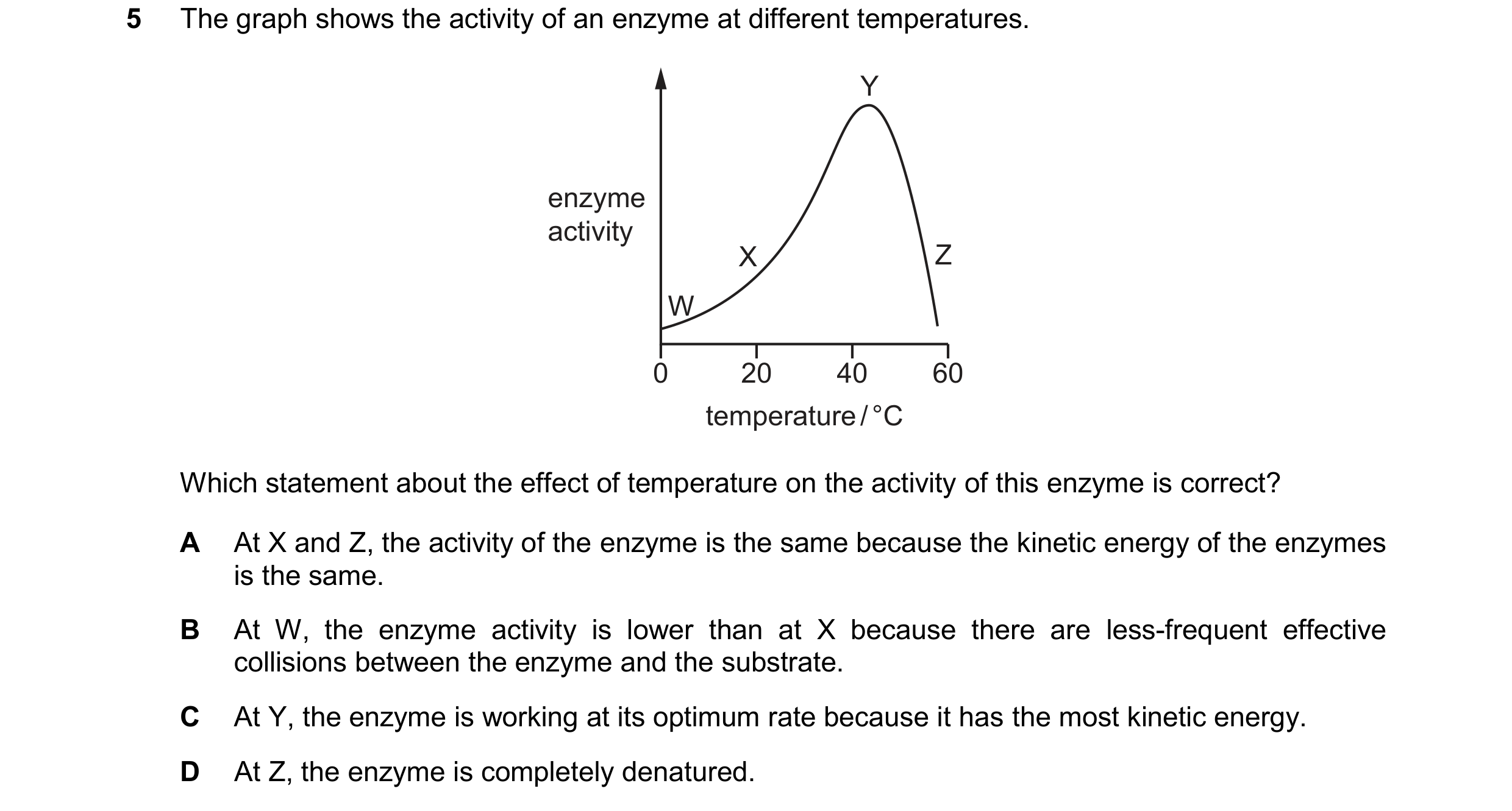 Question 53: The graph shows the activity of an enzyme at different temperatures. Y enzyme activity X Z W 0 20 40 60 temperature / °C Which statement ab…