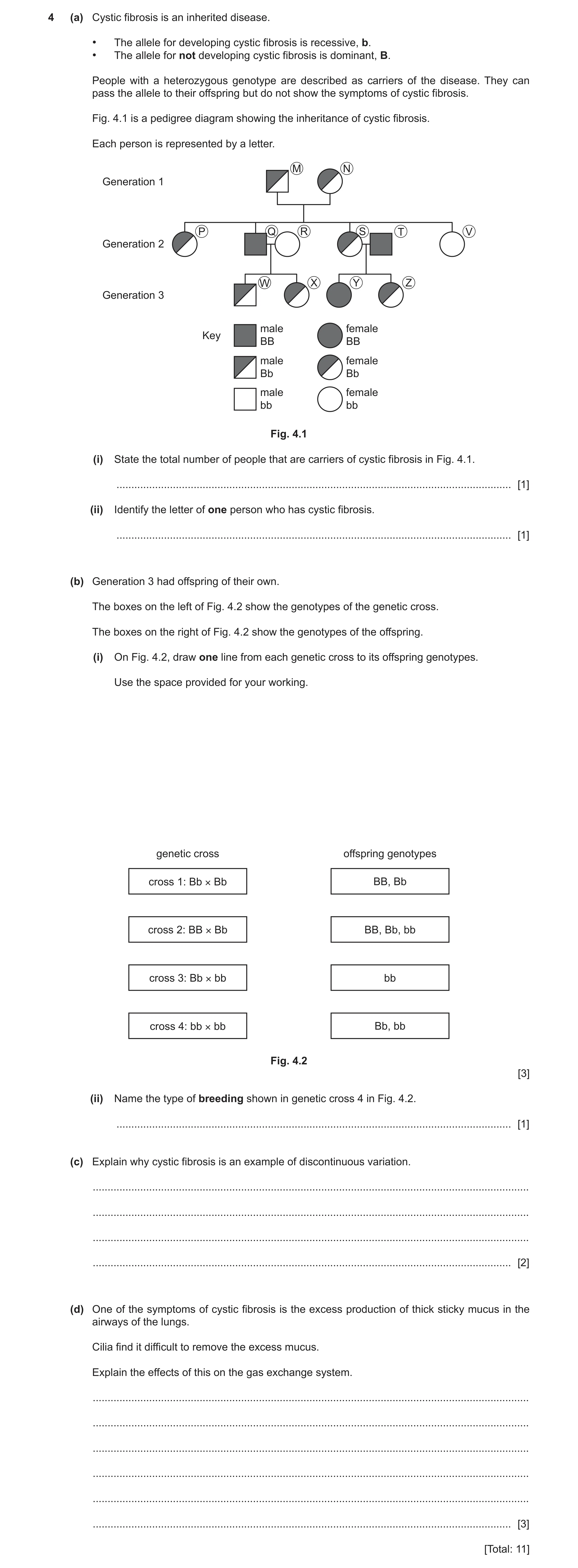 Question 6: (a) Cystic fibrosis is an inherited disease. • The allele for developing cystic fibrosis is recessive, b. • The allele for not developing c…