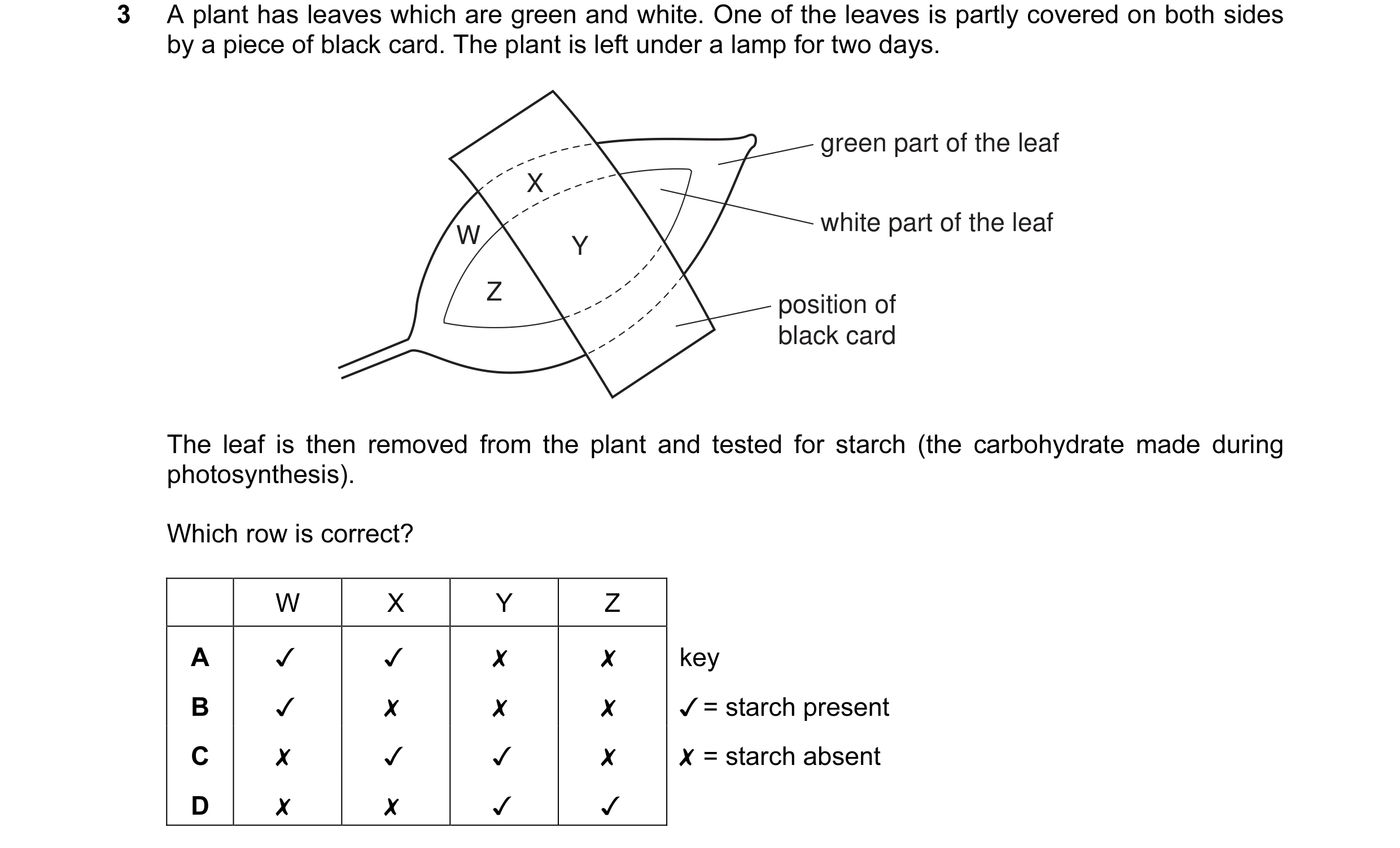 Question 20: A plant has leaves which are green and white. One of the leaves is partly covered on both sides
by a piece of black card. The plant is left…
