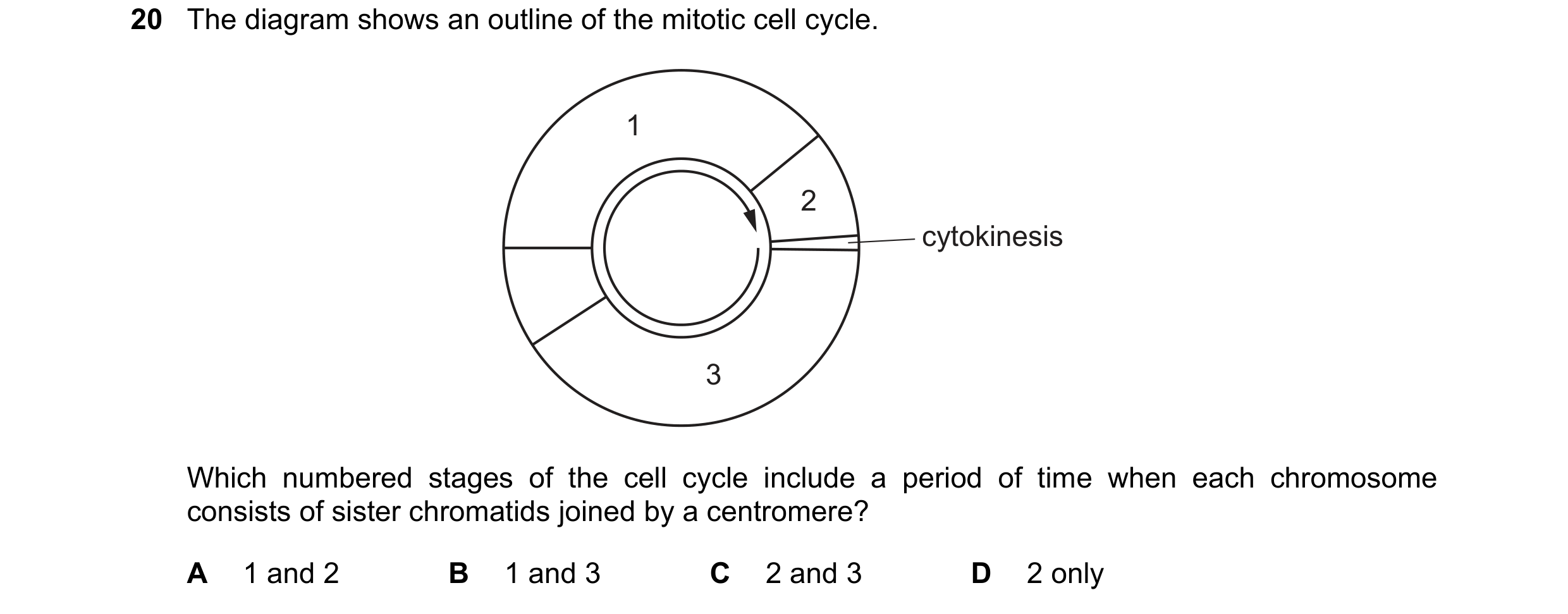 Question 179: The diagram shows an outline of the mitotic cell cycle. 1 2 cytokinesis 3 Which numbered stages of the cell cycle include a period of time …