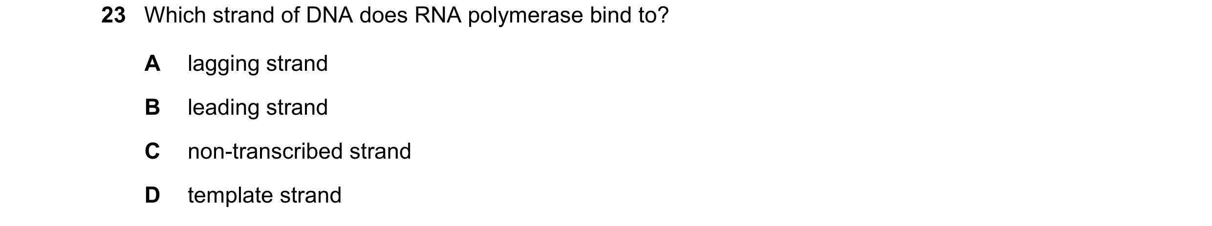 Question 191: Which strand of DNA does RNA polymerase bind to? A lagging strand B leading strand C non-transcribed strand D template strand