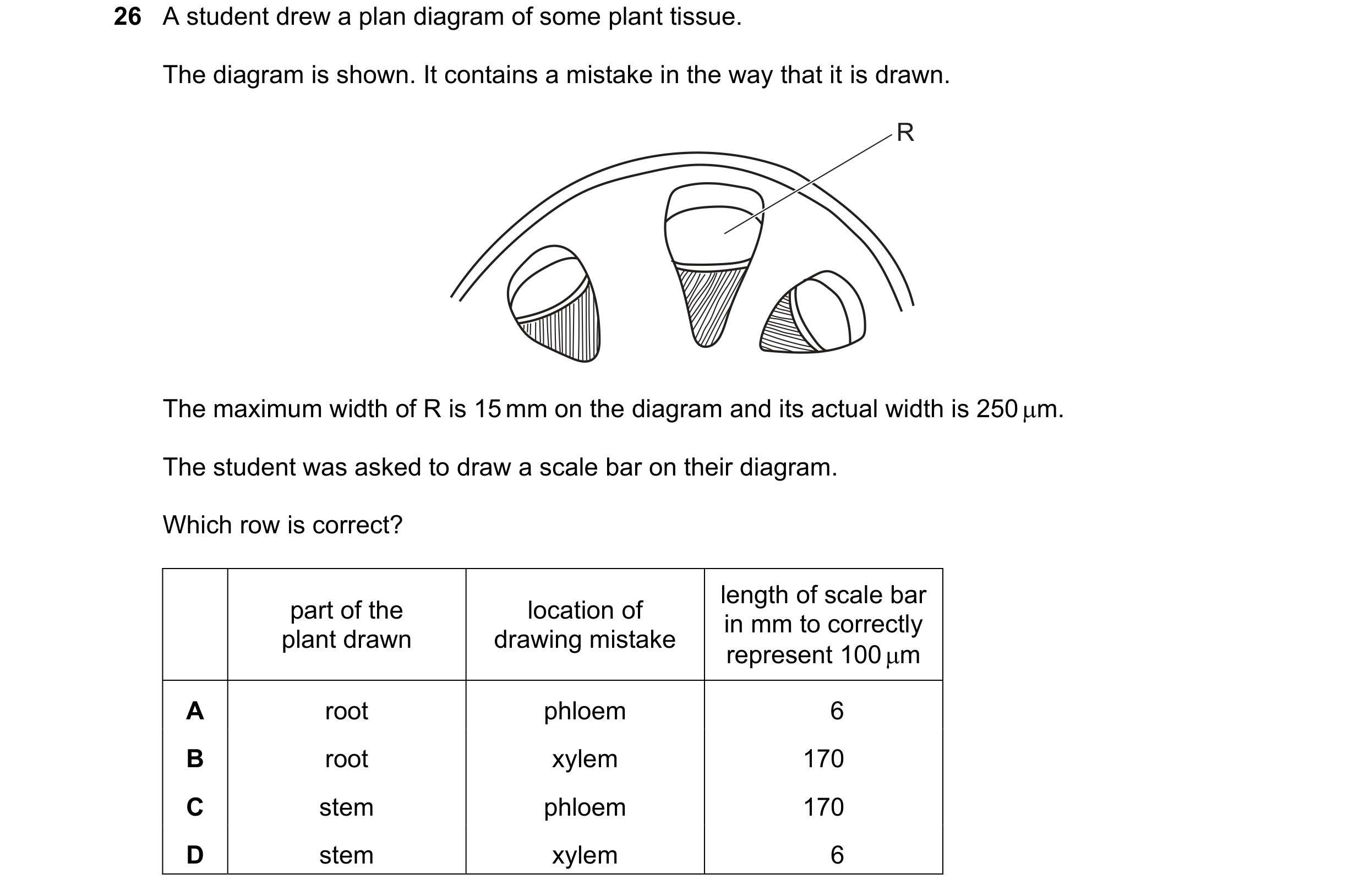 Question 111: A student drew a plan diagram of some plant tissue. The diagram is shown. It contains a mistake in the way that it is drawn. R The maximum …