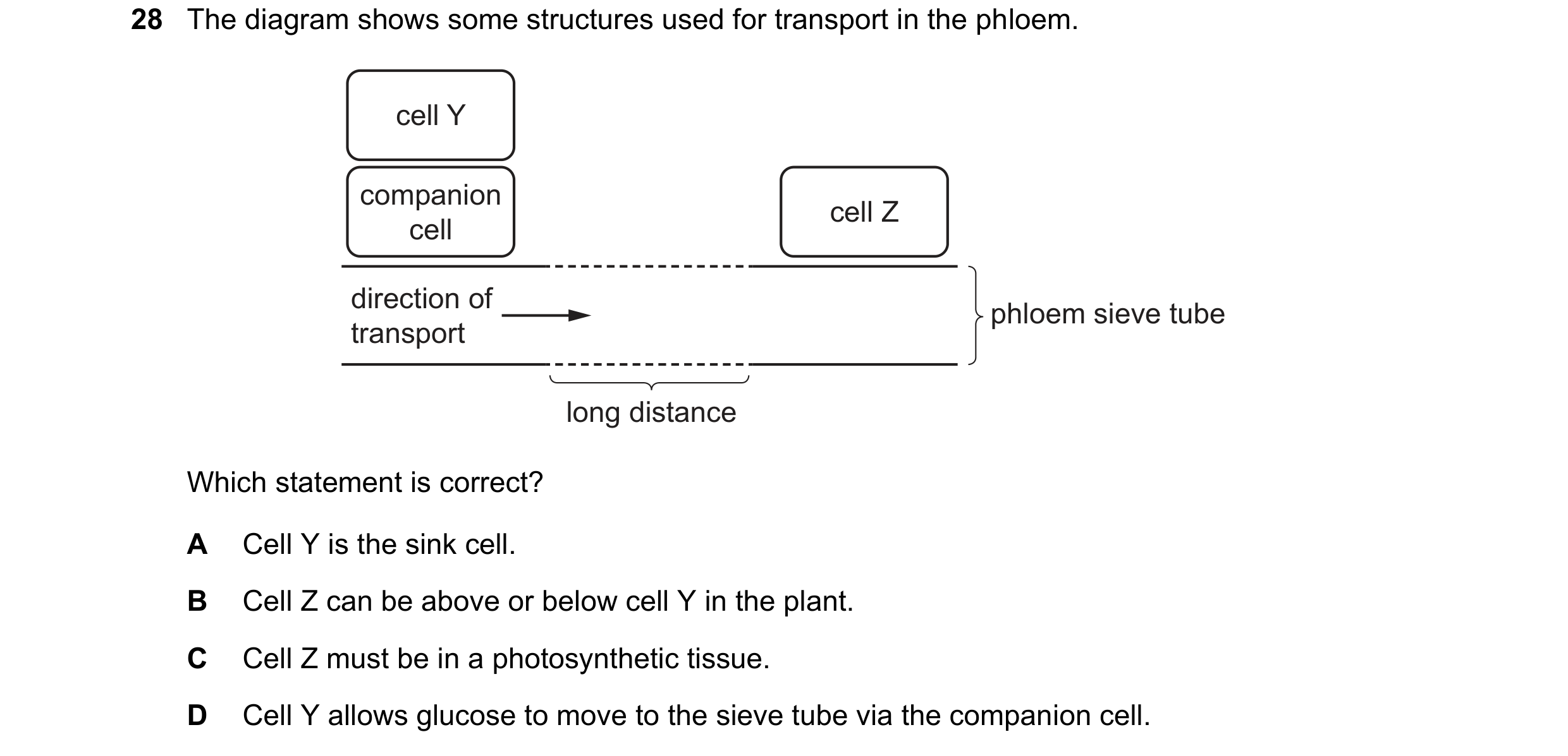 Question 324: The diagram shows some structures used for transport in the phloem. cell Y companion cell Z cell direction of phloem sieve tube transport l…
