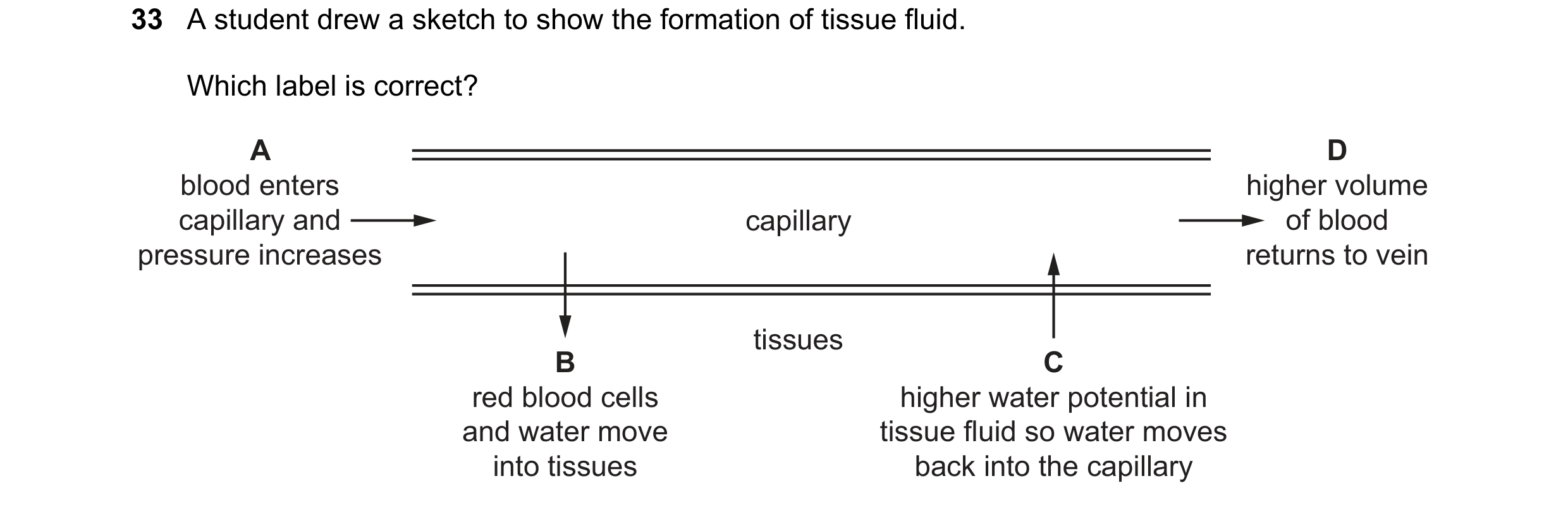 Question 153: A student drew a sketch to show the formation of tissue fluid. Which label is correct? A D blood enters higher volume capillary and capilla…