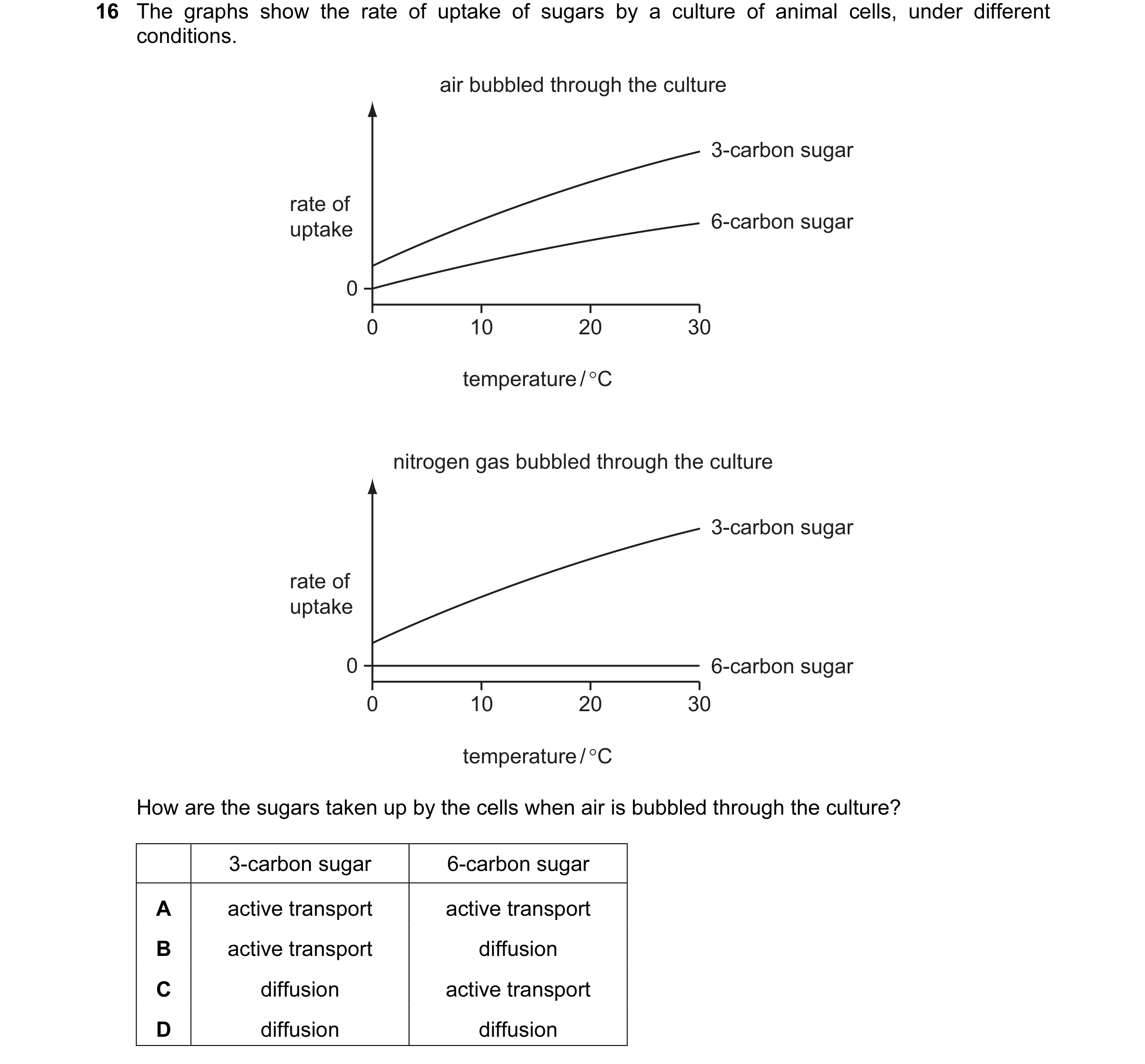 Question 2: The graphs show the rate of uptake of sugars by a culture of animal cells, under different conditions. air bubbled through the culture 3-ca…