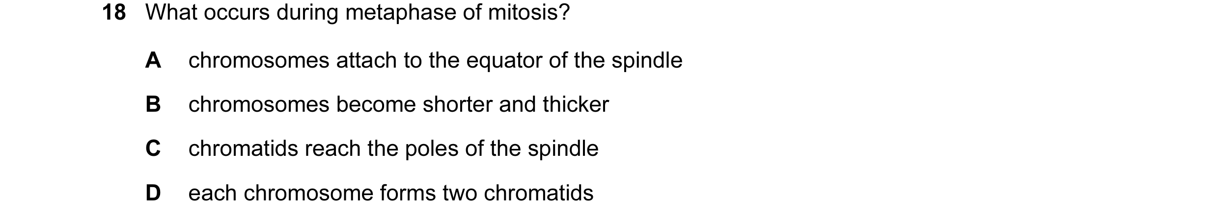 Question 22: What occurs during metaphase of mitosis? A chromosomes attach to the equator of the spindle B chromosomes become shorter and thicker C chro…