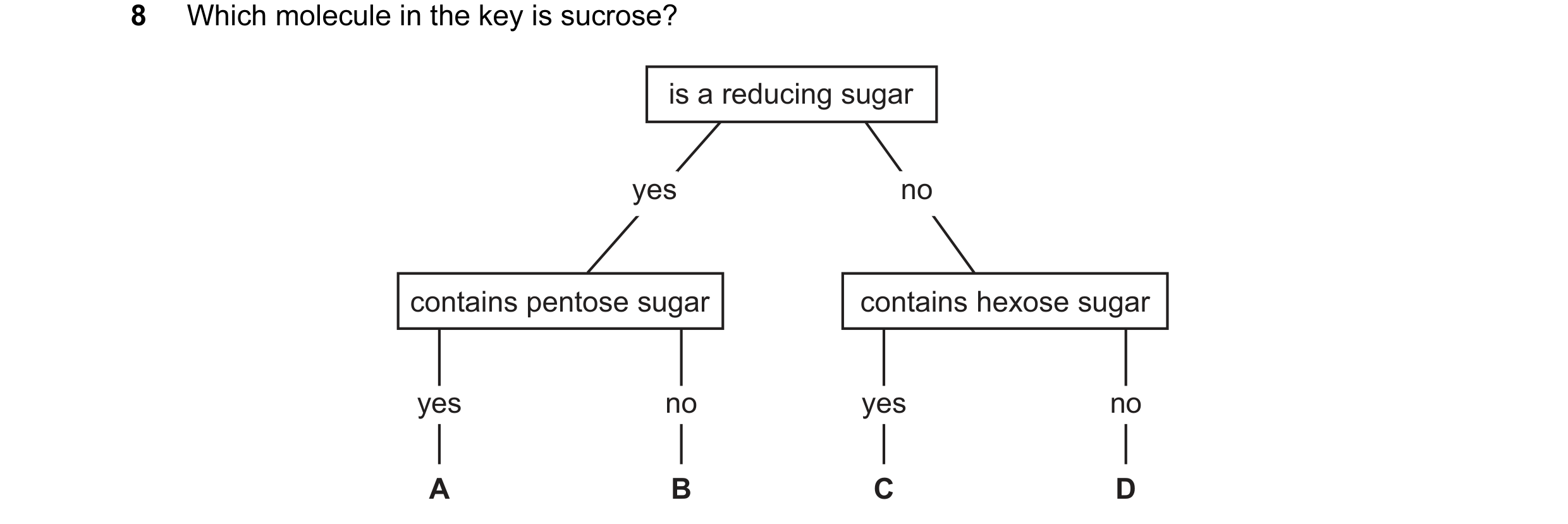 Question 58: Which molecule in the key is sucrose? is a reducing sugar yes no contains pentose sugar contains hexose sugar yes no yes no A B C D