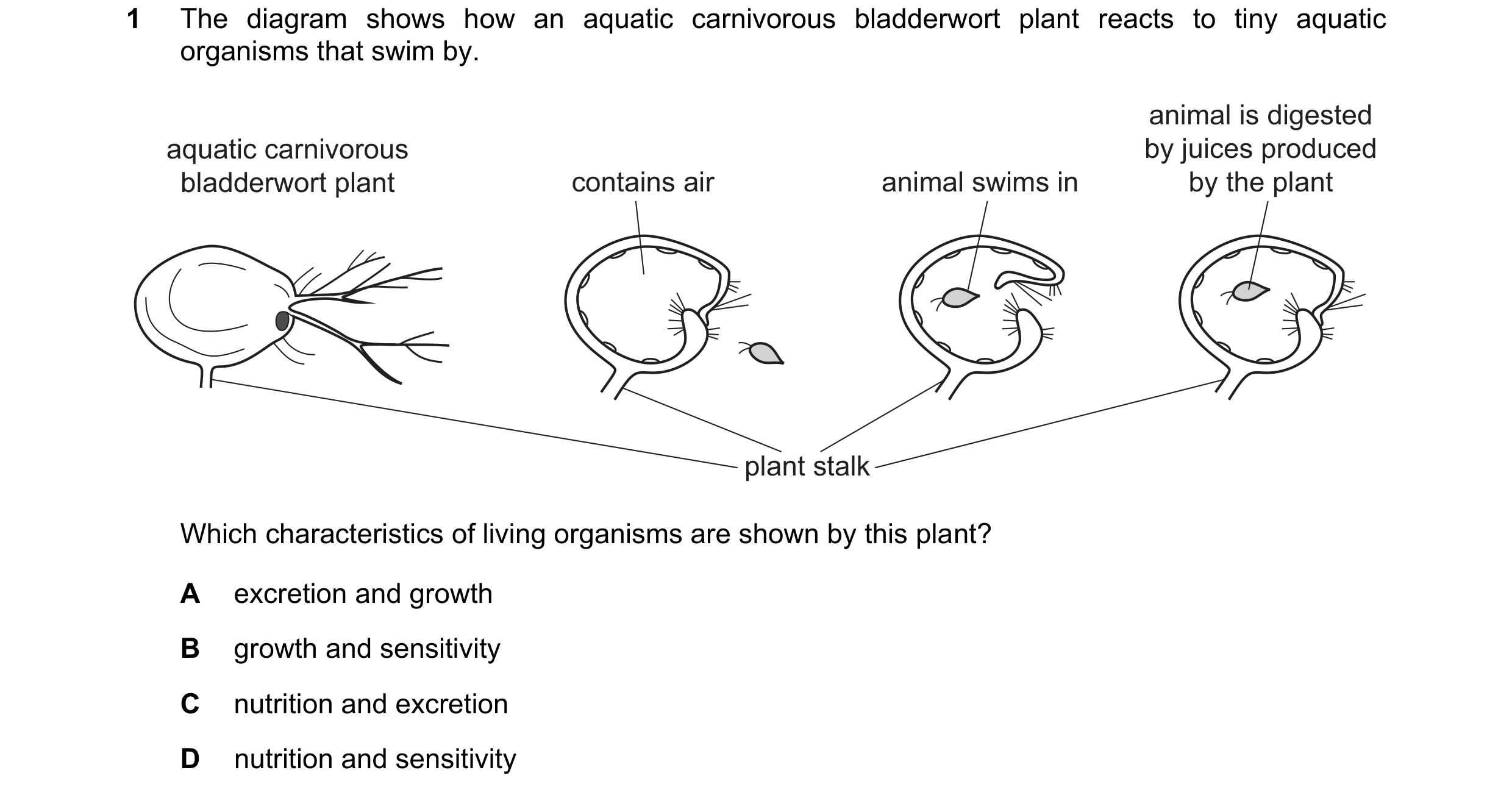 Question 70: The diagram shows how an aquatic carnivorous bladderwort plant reacts to tiny aquatic organisms that swim by. animal is digested aquatic ca…