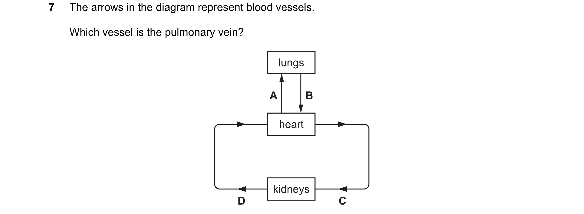 Question 17: The arrows in the diagram represent blood vessels. Which vessel is the pulmonary vein? lungs A B heart kidneys D C