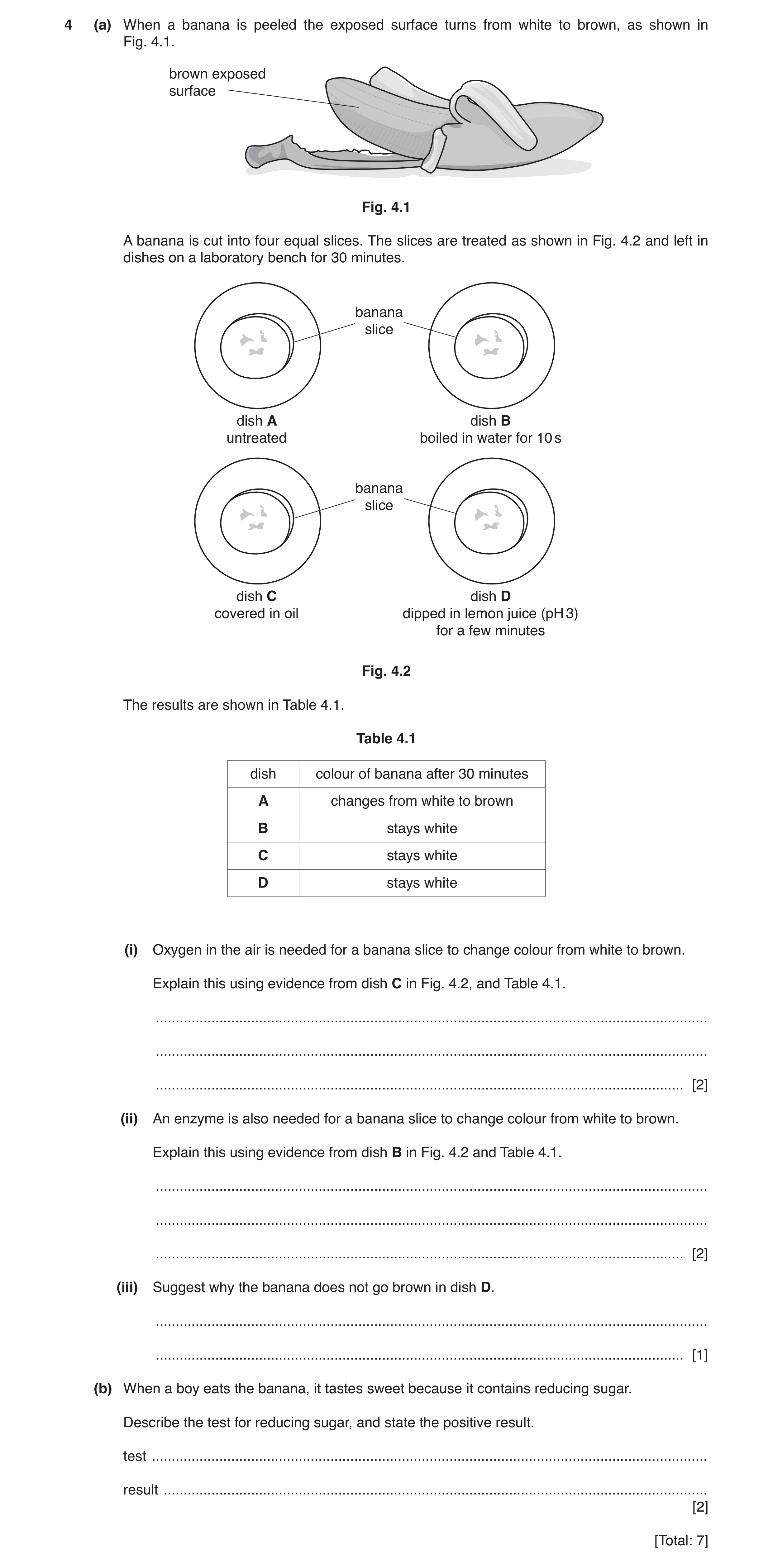 Question 6: (a) When a banana is peeled the exposed surface turns from white to brown, as shown in Fig. 4.1. brown exposed surface Fig. 4.1 A banana is…
