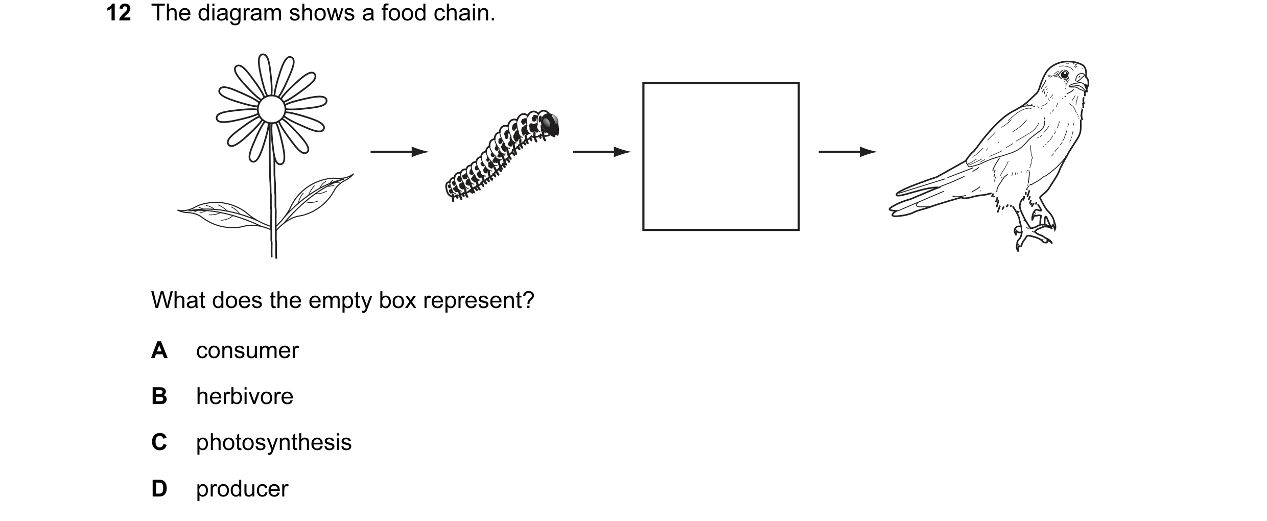 Question 20: The diagram shows a food chain. What does the empty box represent? A consumer B herbivore C photosynthesis D producer