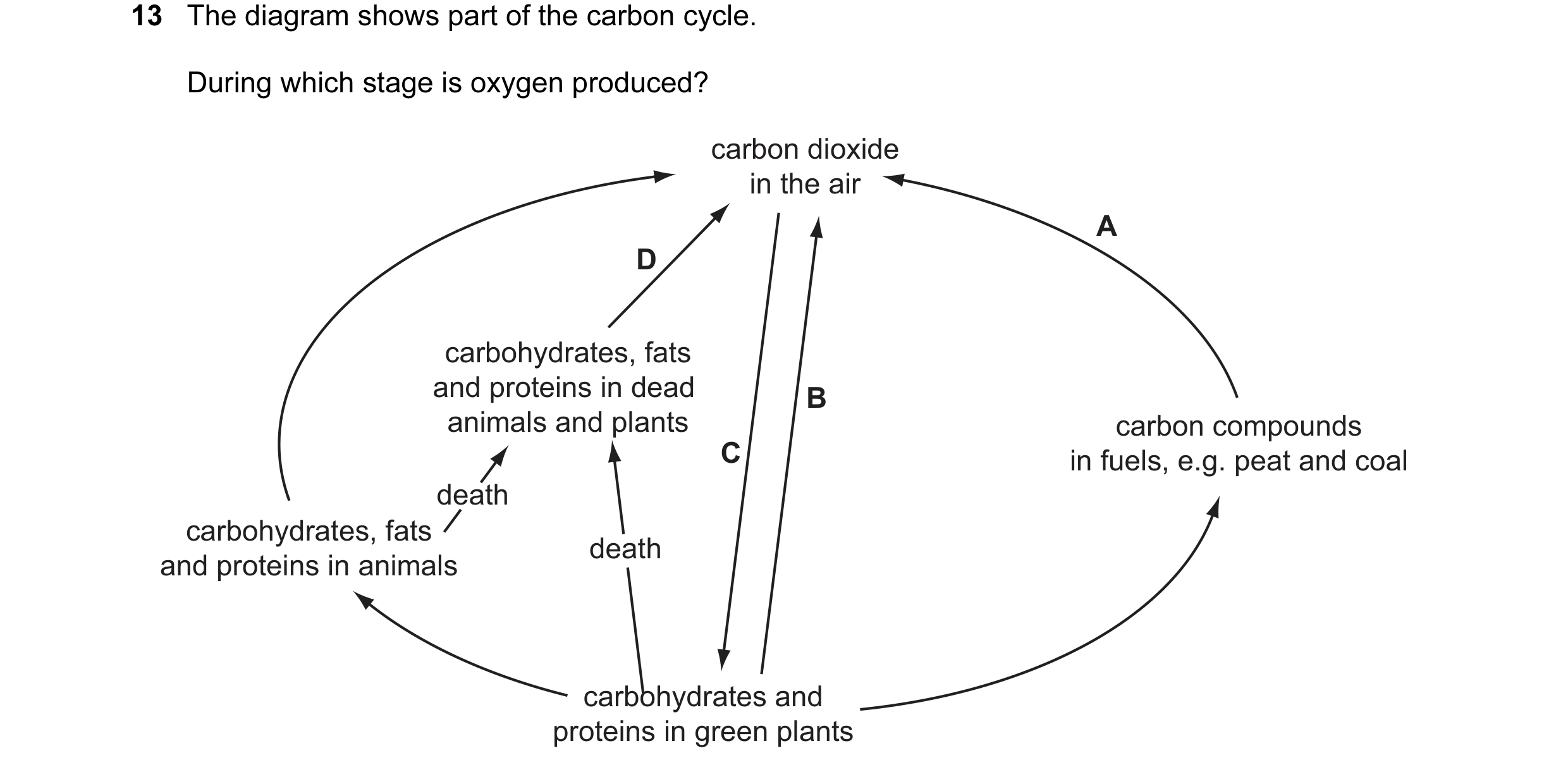 Question 17: The diagram shows part of the carbon cycle. During which stage is oxygen produced? carbon dioxide in the air A D carbohydrates, fats and pr…