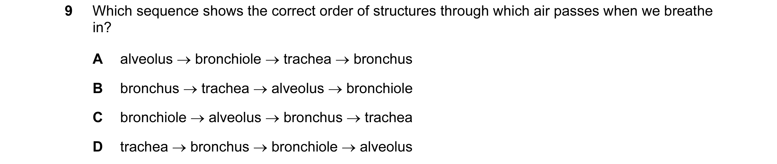 Question 16: Which sequence shows the correct order of structures through which air passes when we breathe in? A alveolus → bronchiole → trachea → bronc…