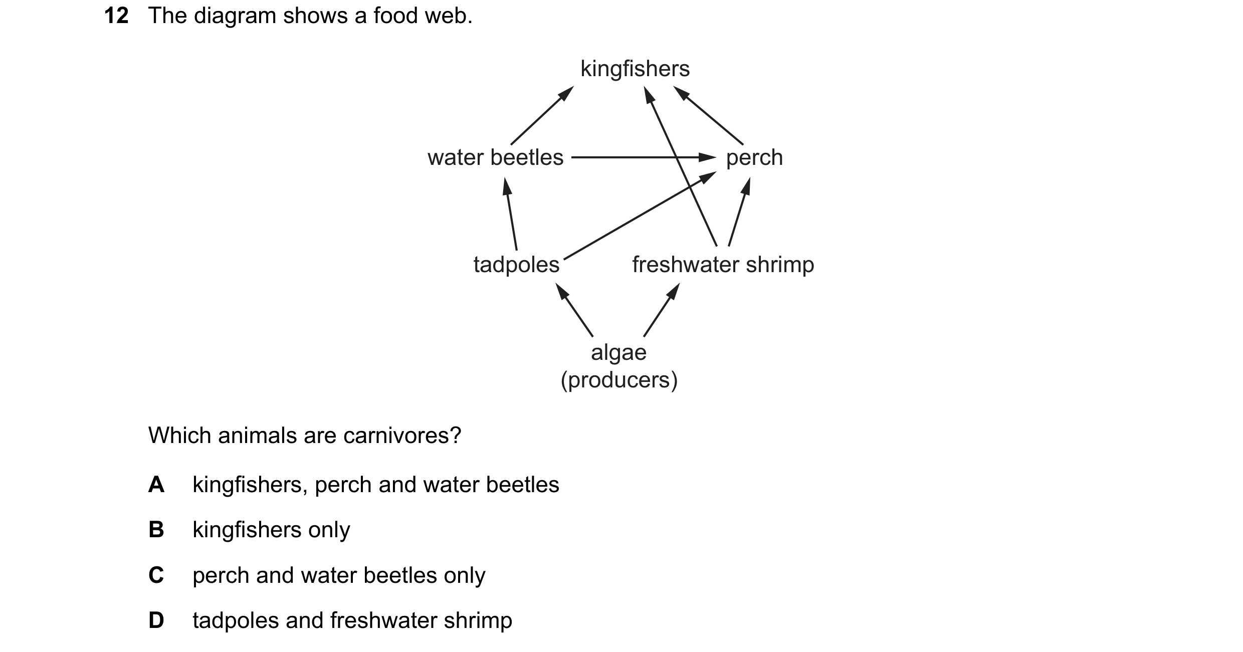 Question 62: The diagram shows a food web. kingfishers water beetles perch tadpoles freshwater shrimp algae (producers) Which animals are carnivores? A …