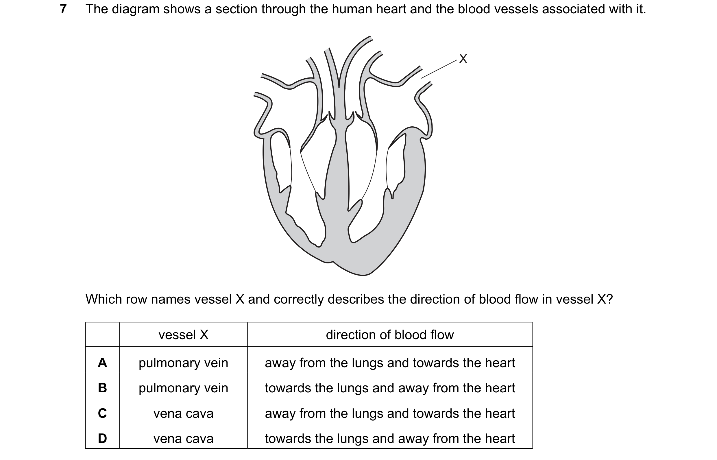 Question 18: The diagram shows a section through the human heart and the blood vessels associated with it. X Which row names vessel X and correctly desc…