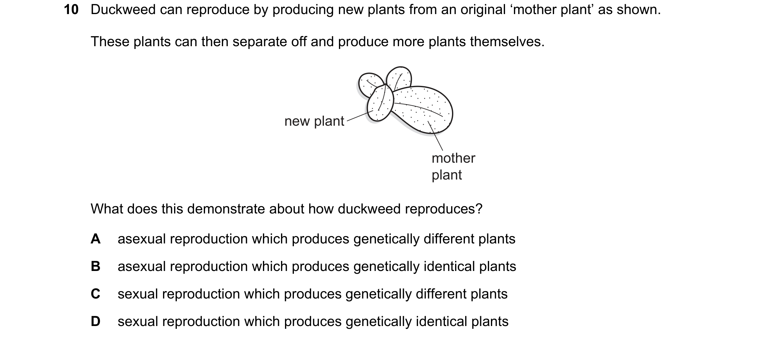 Question 16: Duckweed can reproduce by producing new plants from an original ‘mother plant’ as shown. These plants can then separate off and produce mor…