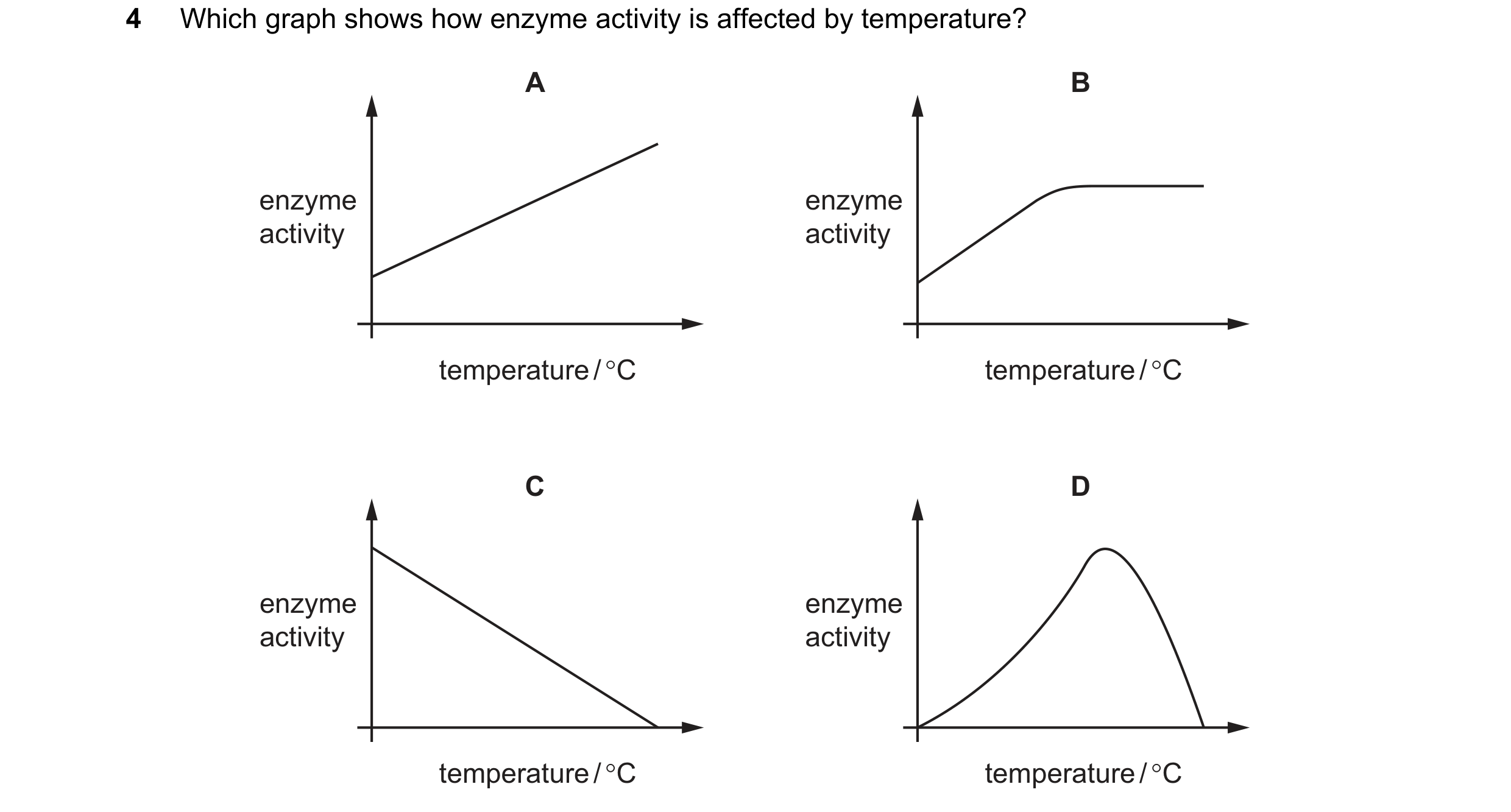 Question 35: Which graph shows how enzyme activity is affected by temperature? A B enzyme enzyme activity activity temperature / °C temperature / °C C D…