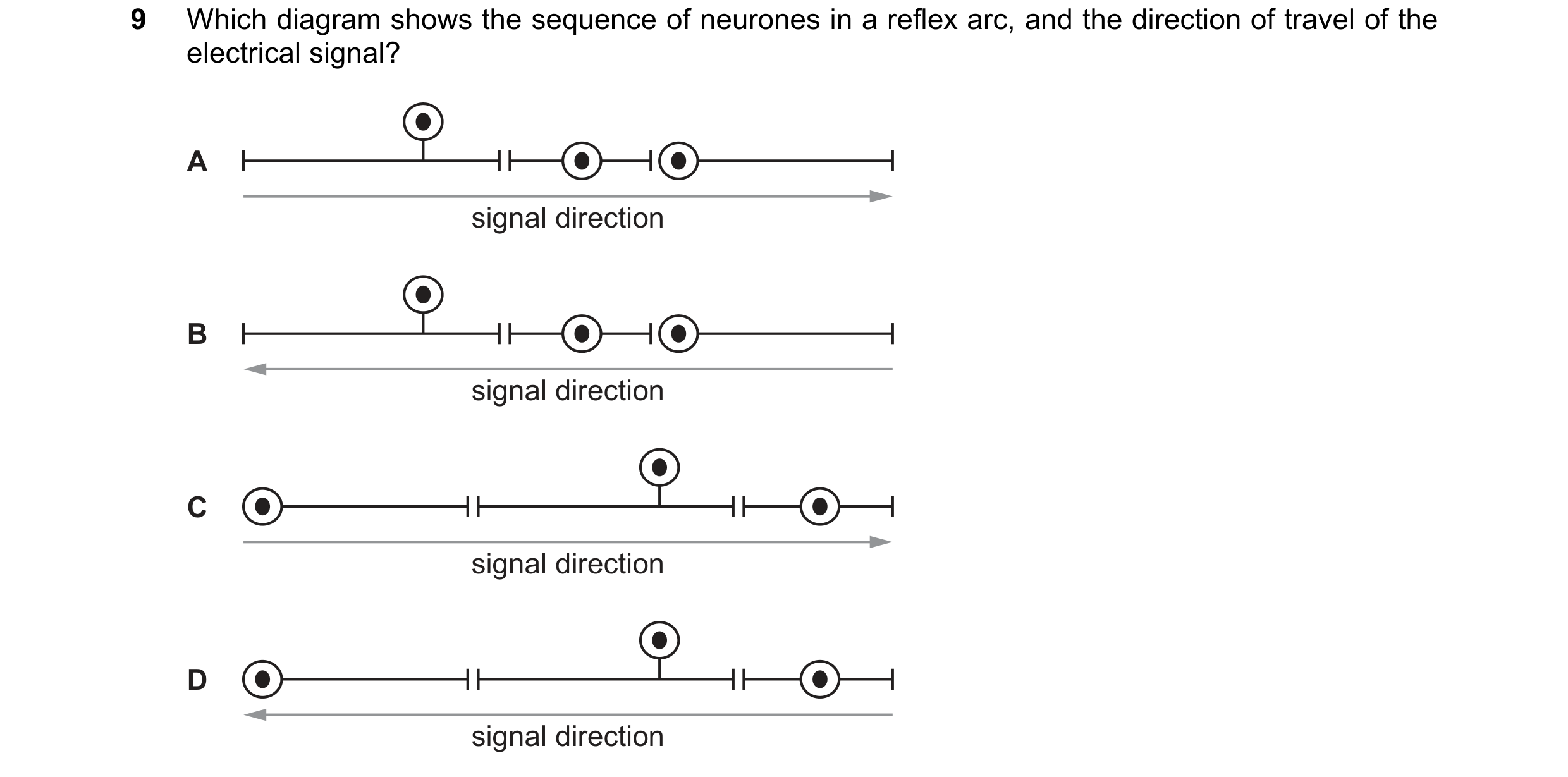 Question 60: Which diagram shows the sequence of neurones in a reflex arc, and the direction of travel of the electrical signal? A signal direction B si…