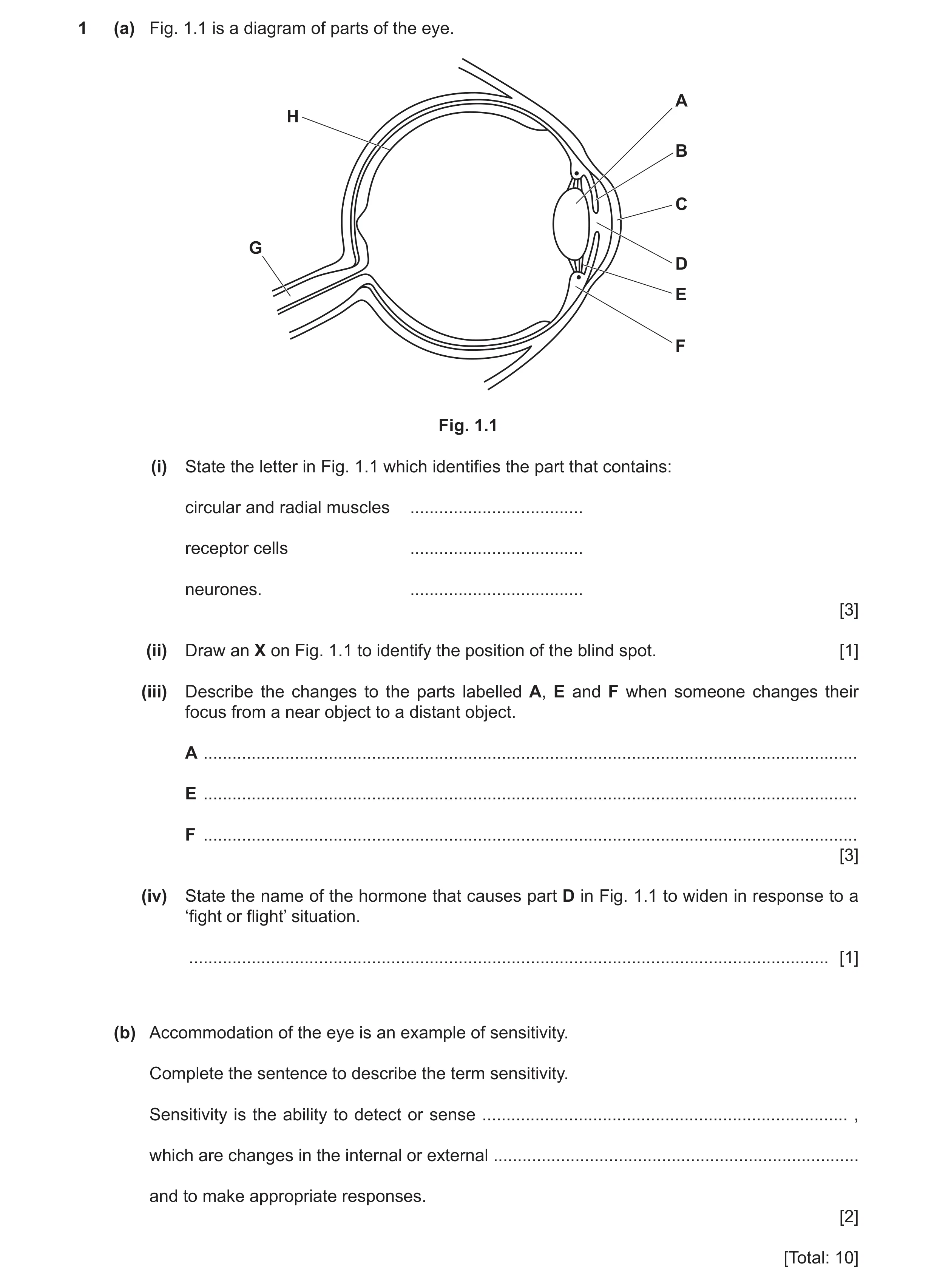 Question 7: (a) Fig. 1.1 is a diagram of parts of the eye. A H B C G D E F Fig. 1.1 (i) State the letter in Fig. 1.1 which identifies the part that con…