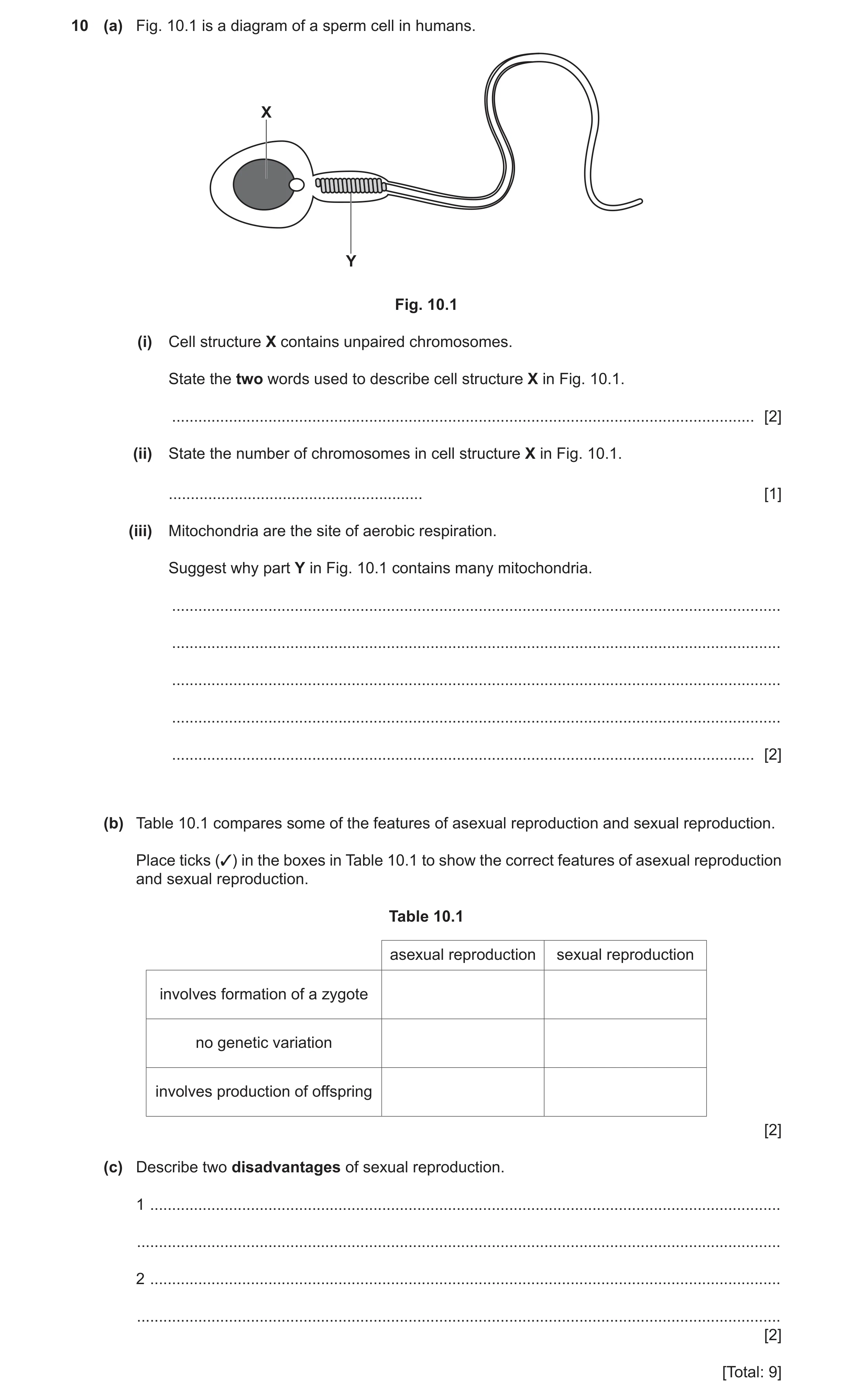 Question 12: (a) Fig. 10.1 is a diagram of a sperm cell in humans. X Y Fig. 10.1 (i) Cell structure X contains unpaired chromosomes. State the two words…