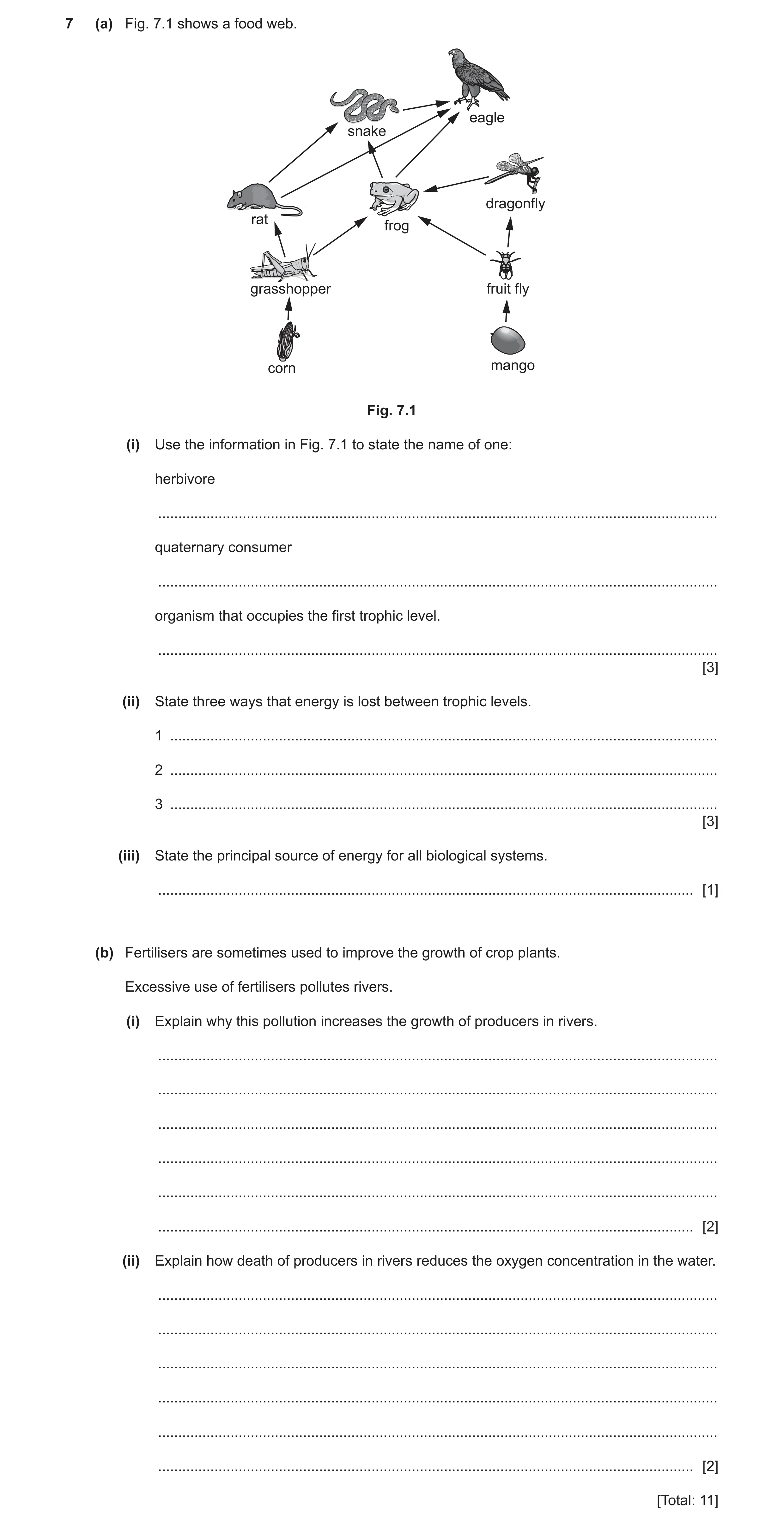 Question 10: (a) Fig. 7.1 shows a food web. eagle snake dragonfly rat frog grasshopper fruit fly corn mango Fig. 7.1 (i) Use the information in Fig. 7.1…