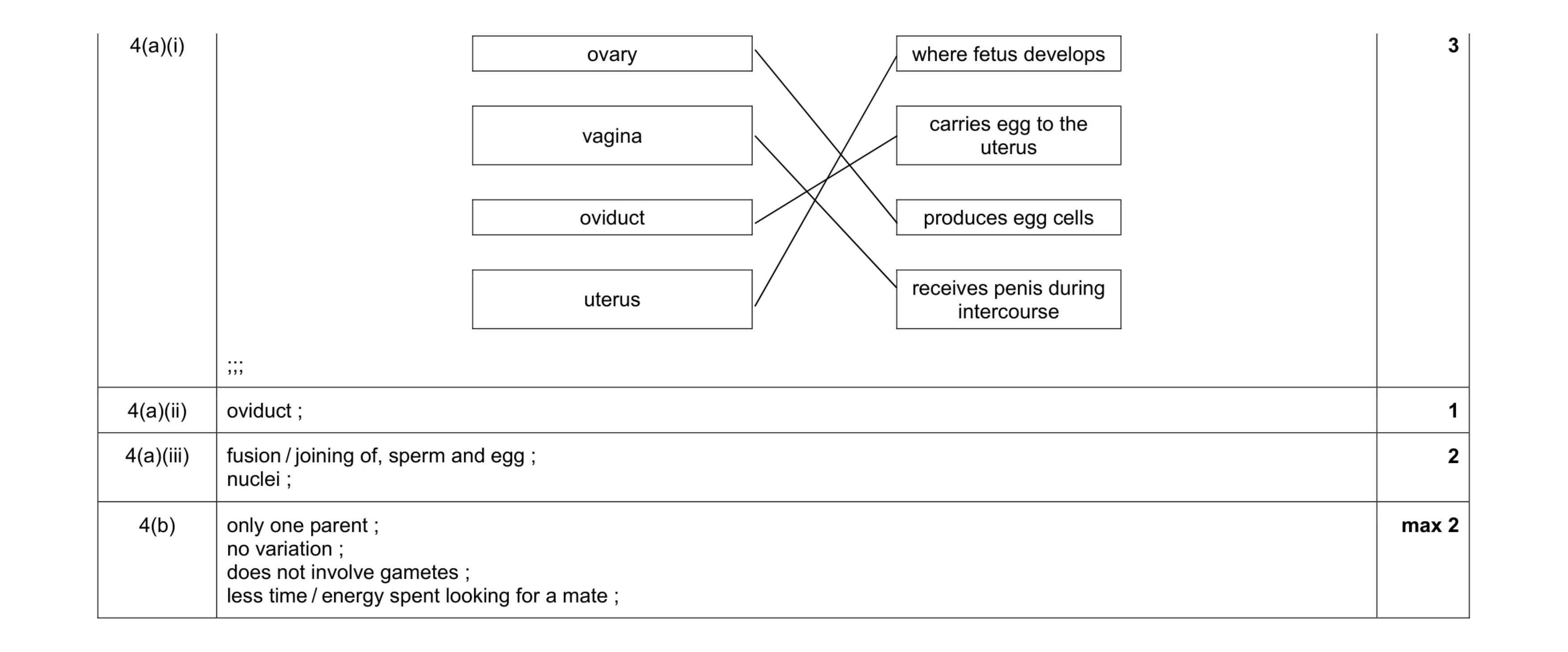 Mark scheme for question 1