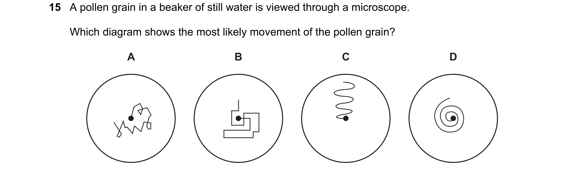 Question 32: A pollen grain in a beaker of still water is viewed through a microscope. Which diagram shows the most likely movement of the pollen grain?…