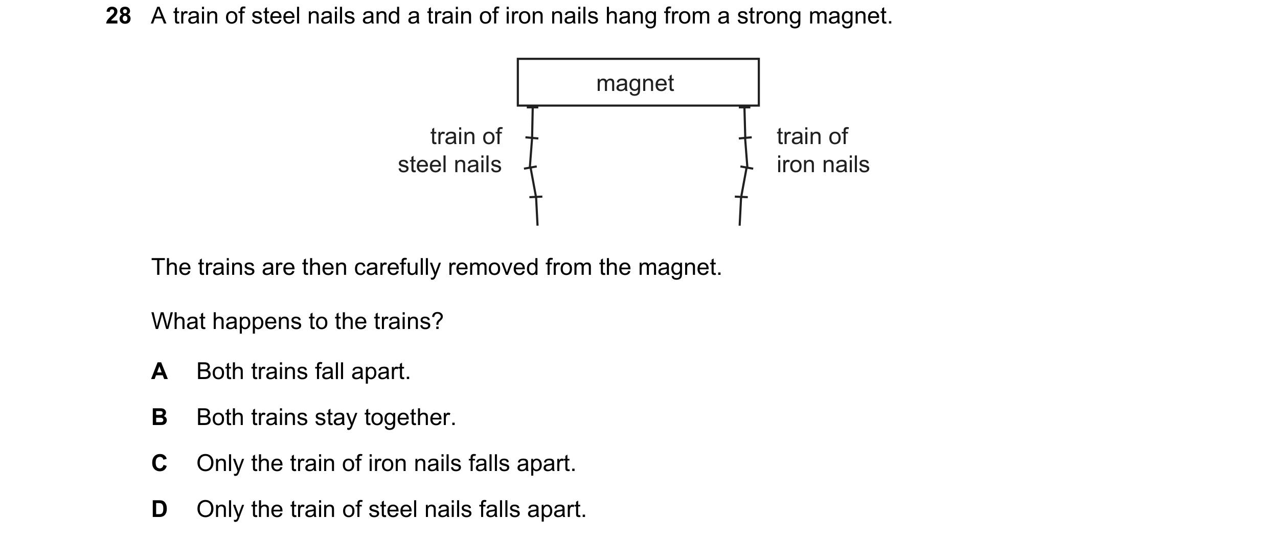 Question 24: A train of steel nails and a train of iron nails hang from a strong magnet. magnet train of train of steel nails iron nails The trains are …