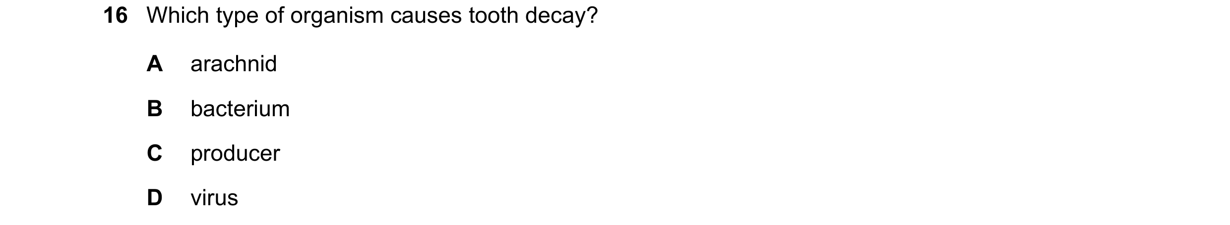 Question 12: Which type of organism causes tooth decay? A arachnid B bacterium C producer D virus
