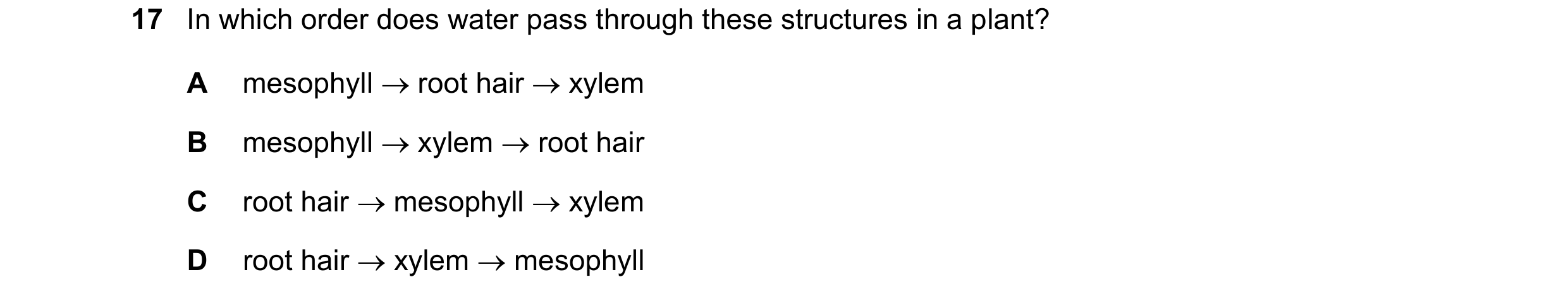 Question 6: In which order does water pass through these structures in a plant? A mesophyll root hair xylem B mesophyll xylem root hair C root …