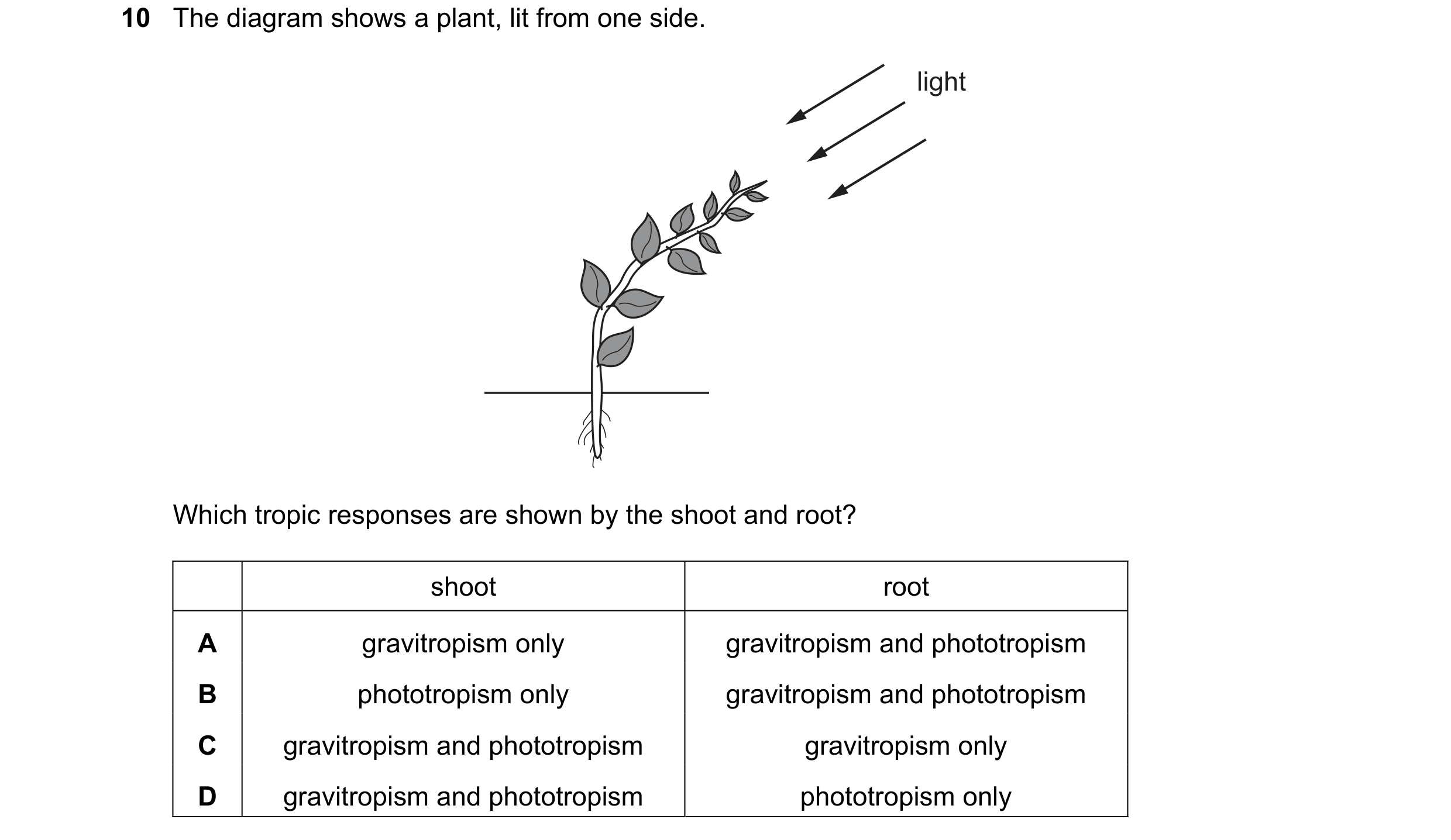 Question 98: The diagram shows a plant, lit from one side. light Which tropic responses are shown by the shoot and root? shoot root A gravitropism only …
