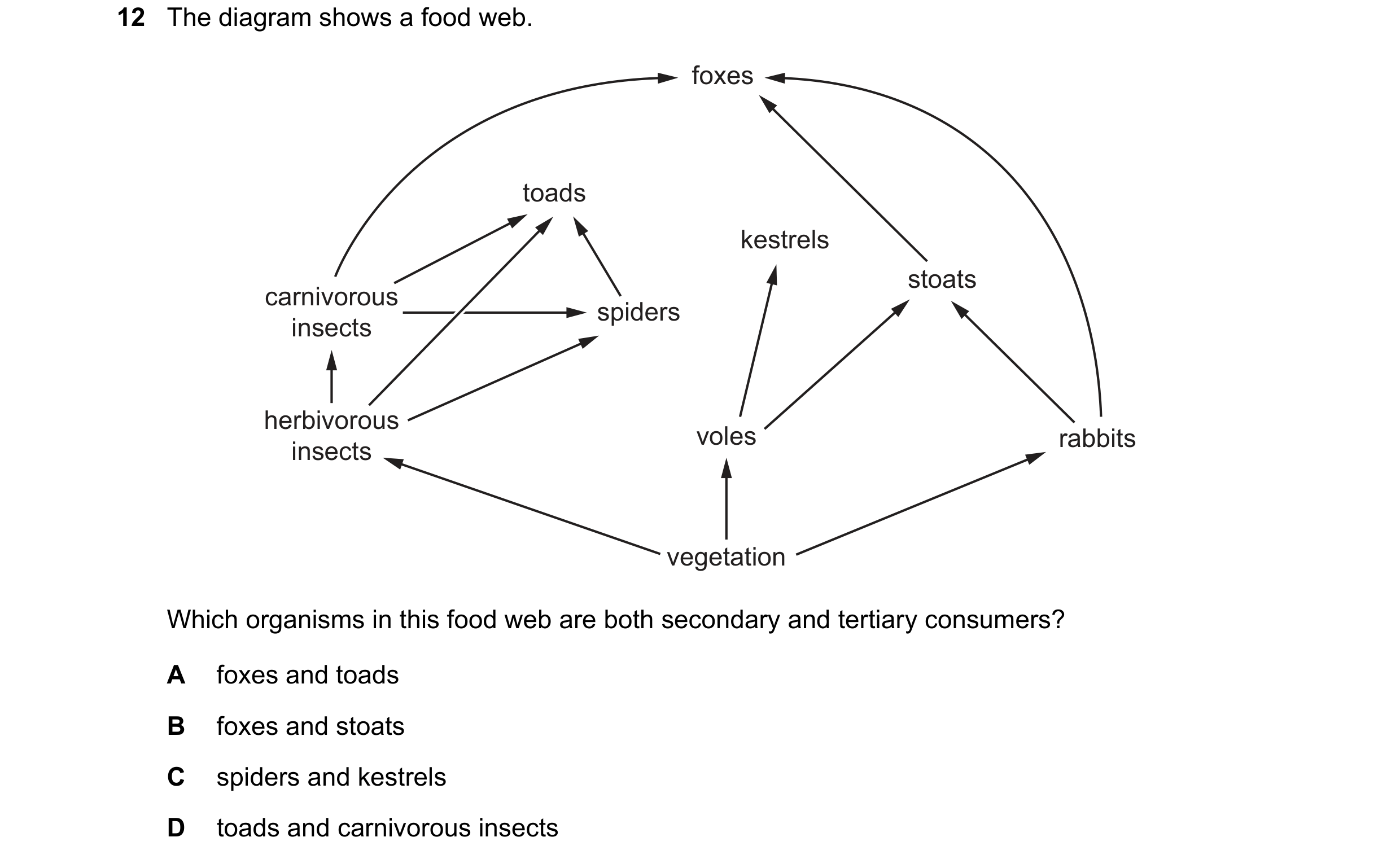 Question 49: The diagram shows a food web. foxes toads kestrels stoats carnivorous spiders insects herbivorous voles rabbits insects vegetation Which or…