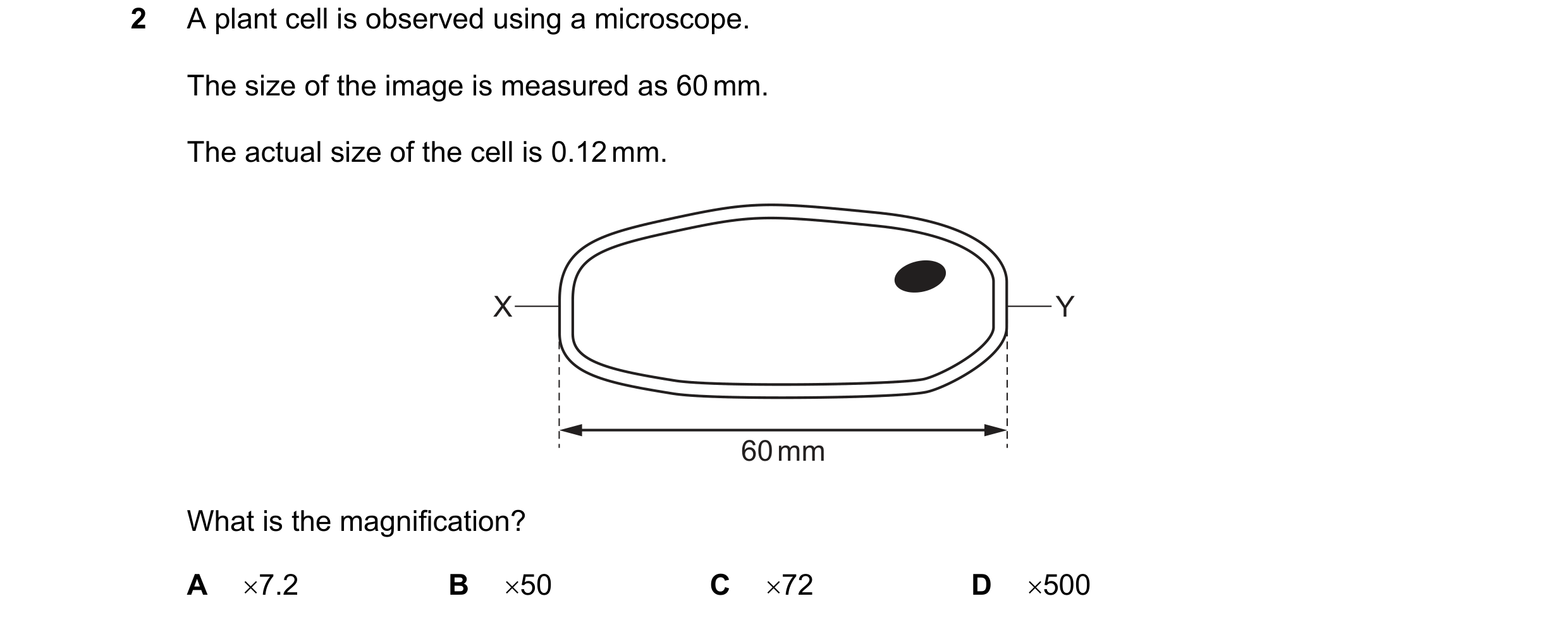Question 13: A plant cell is observed using a microscope. The size of the image is measured as 60 mm. The actual size of the cell is 0.12 mm. X Y 60 mm …