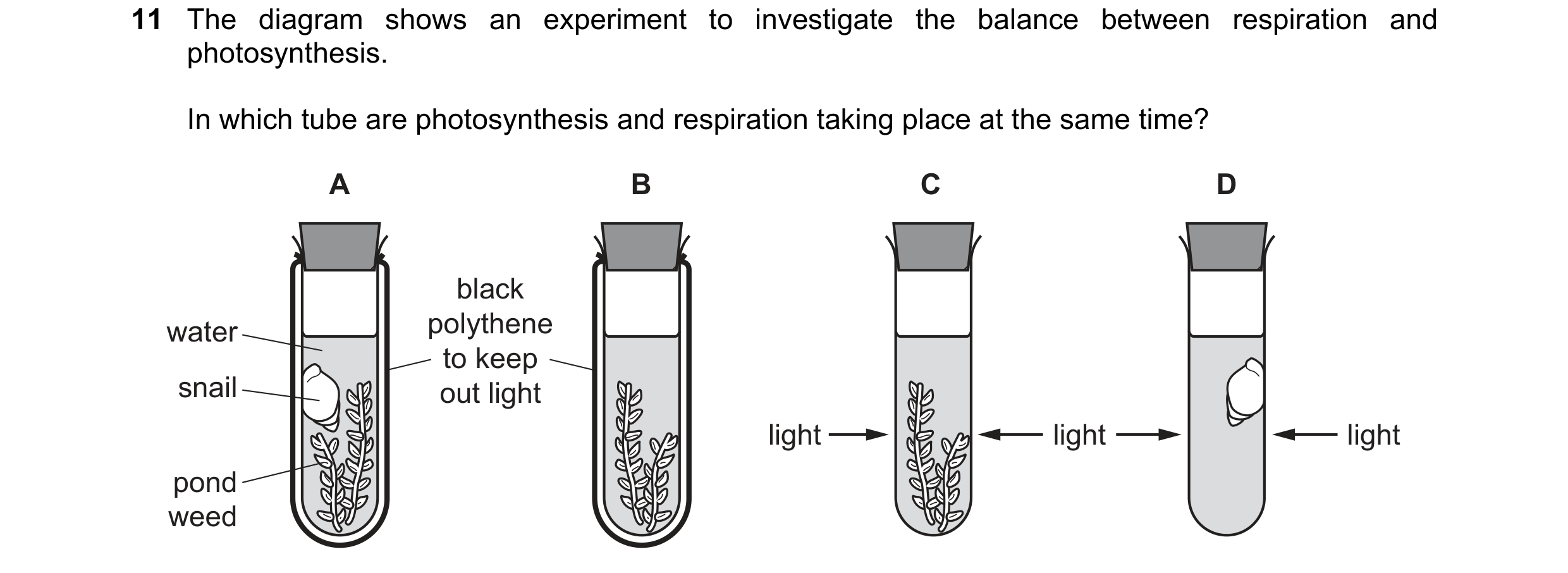 Question 6: The diagram shows an experiment to investigate the balance between respiration and photosynthesis. In which tube are photosynthesis and res…